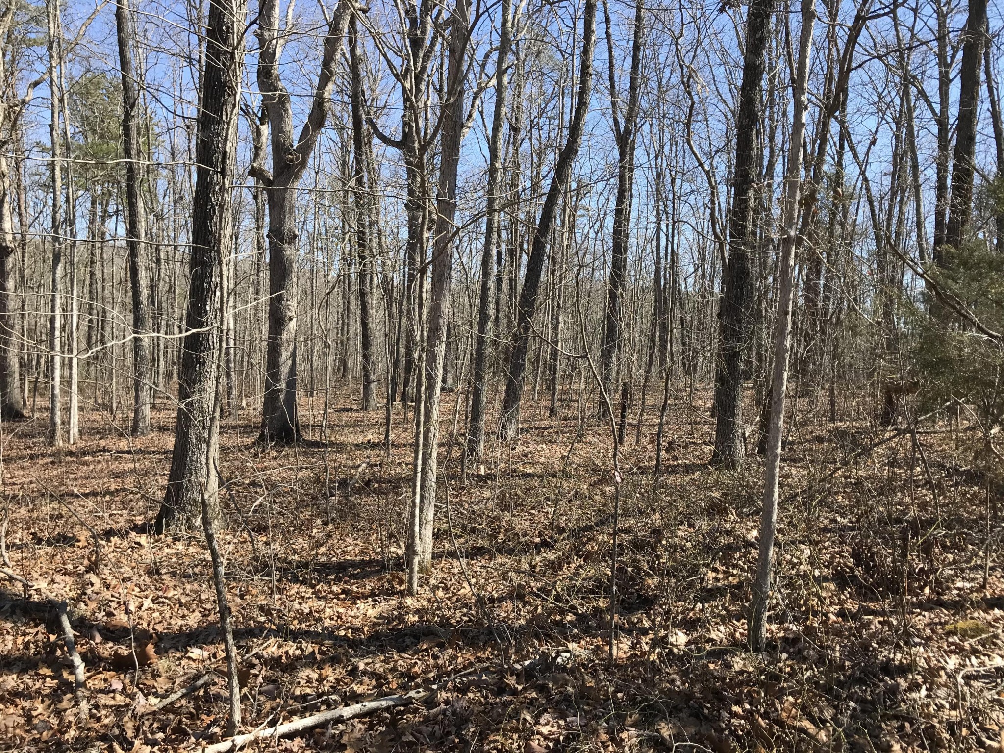 3 Deerhead Road Property Photo 1