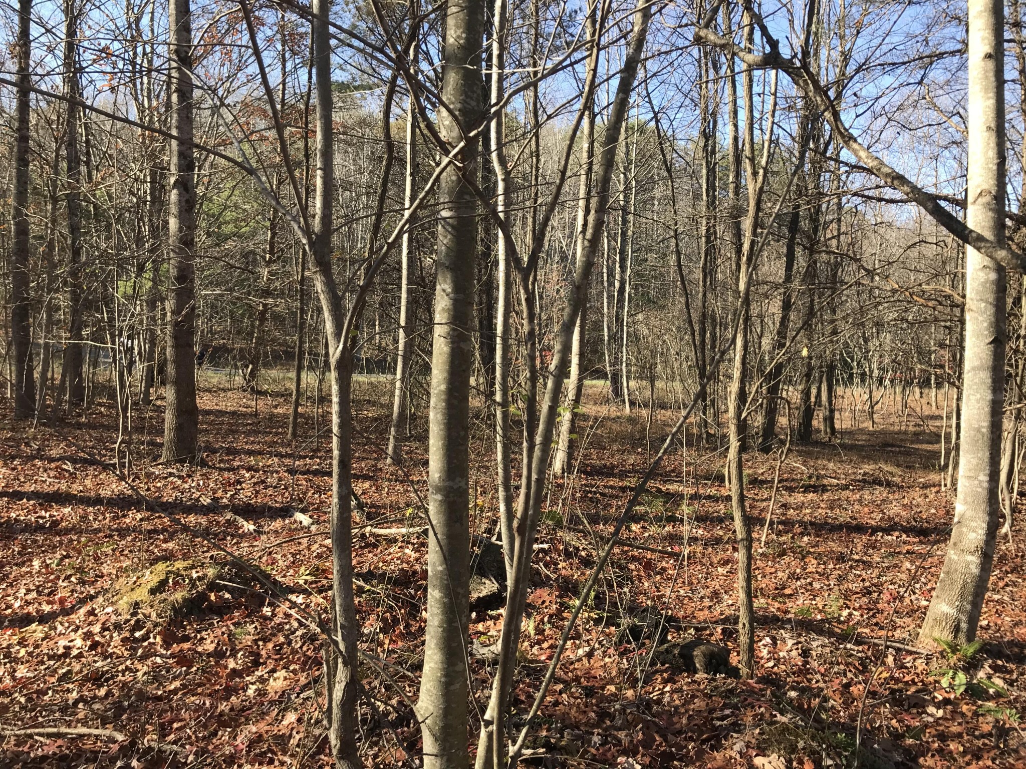 5 Hobbstown Road Property Photo 1