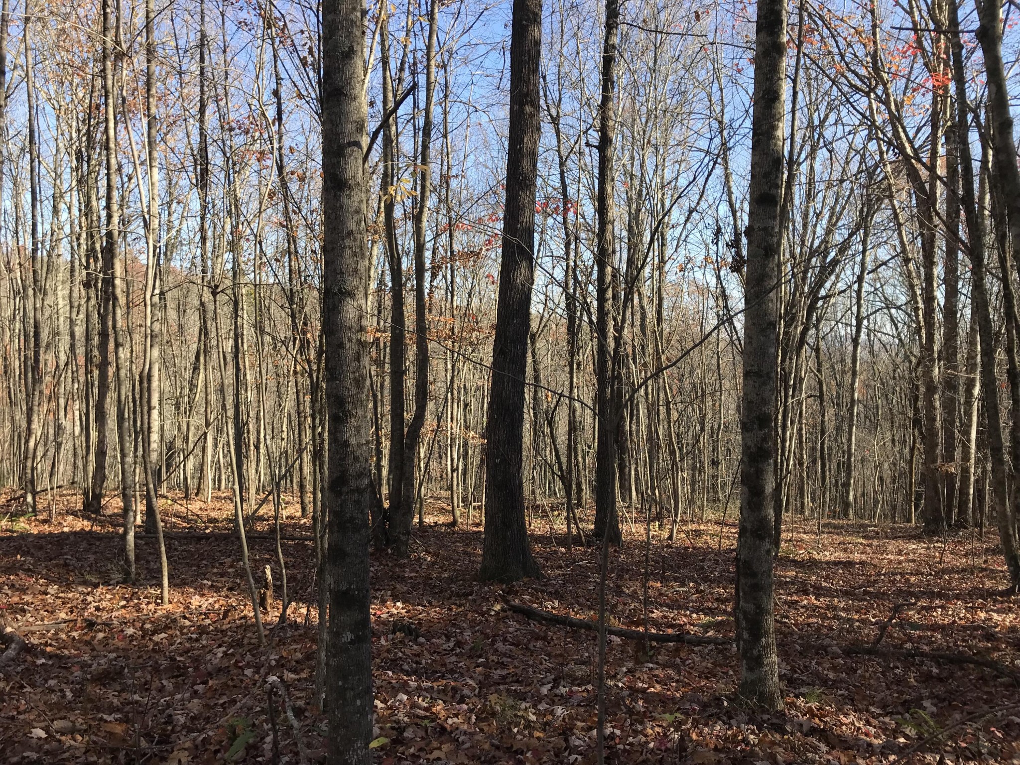 1 Hobbstown Road Property Photo 1