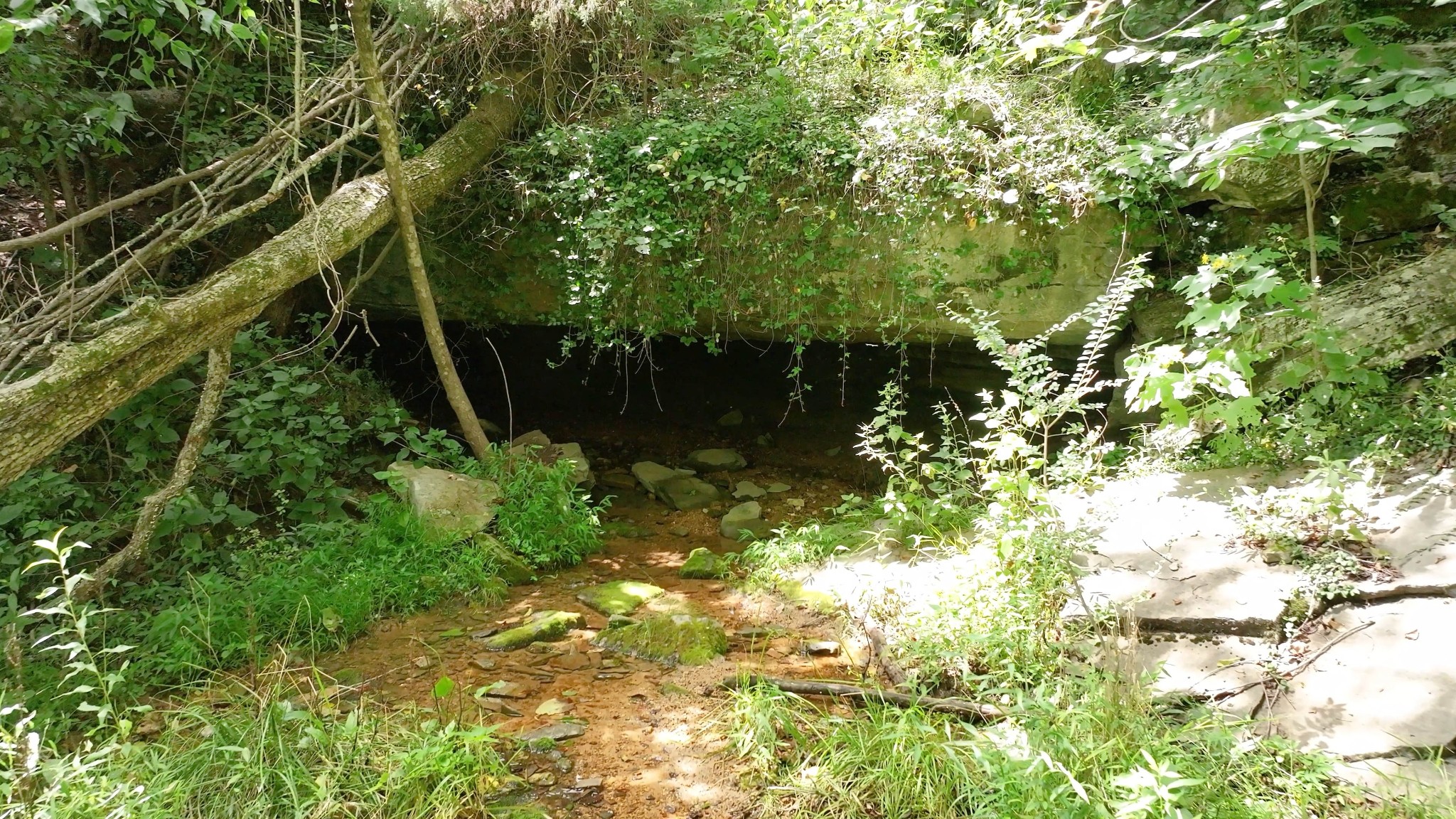 0 Allen Bend Rd Property Photo 12