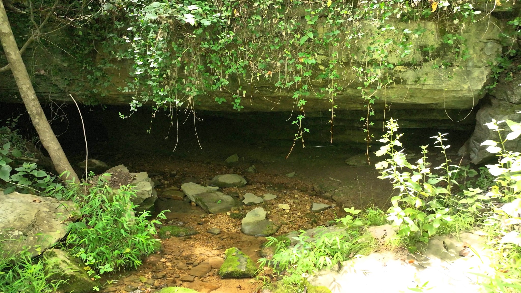 0 Allen Bend Rd Property Photo 13