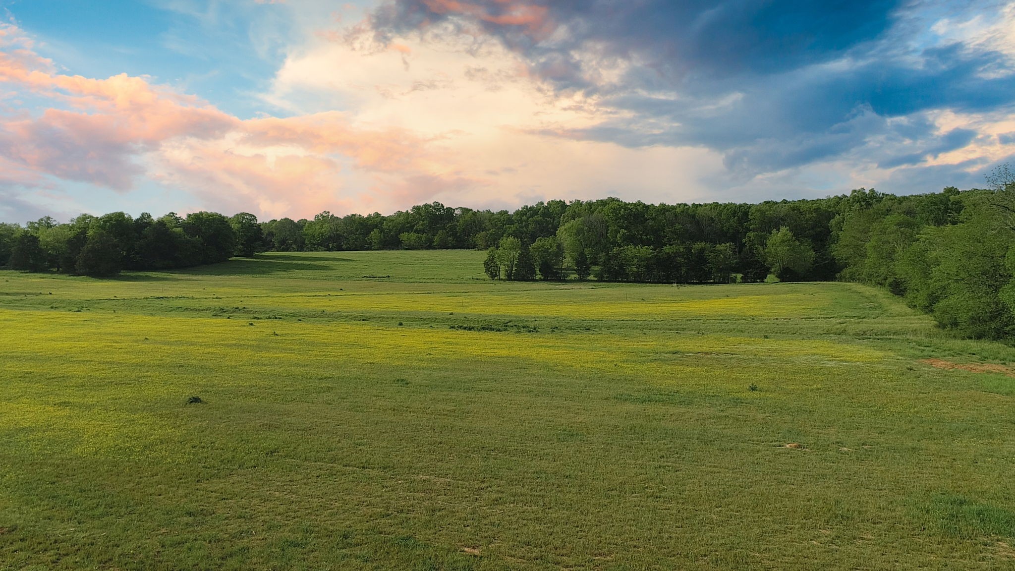 1 Corinth Road Property Photo 28