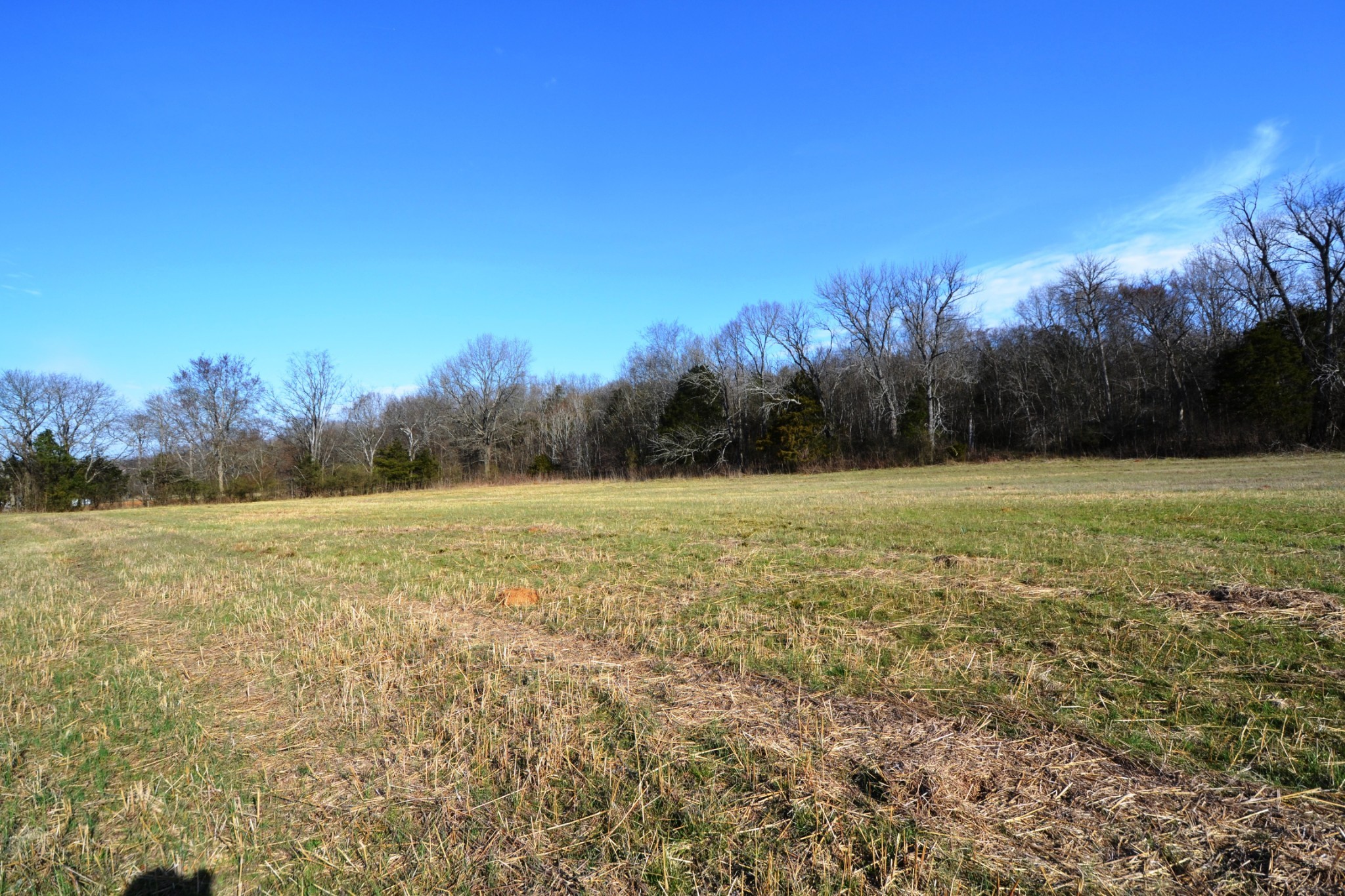 1 Corinth Road Property Photo 53