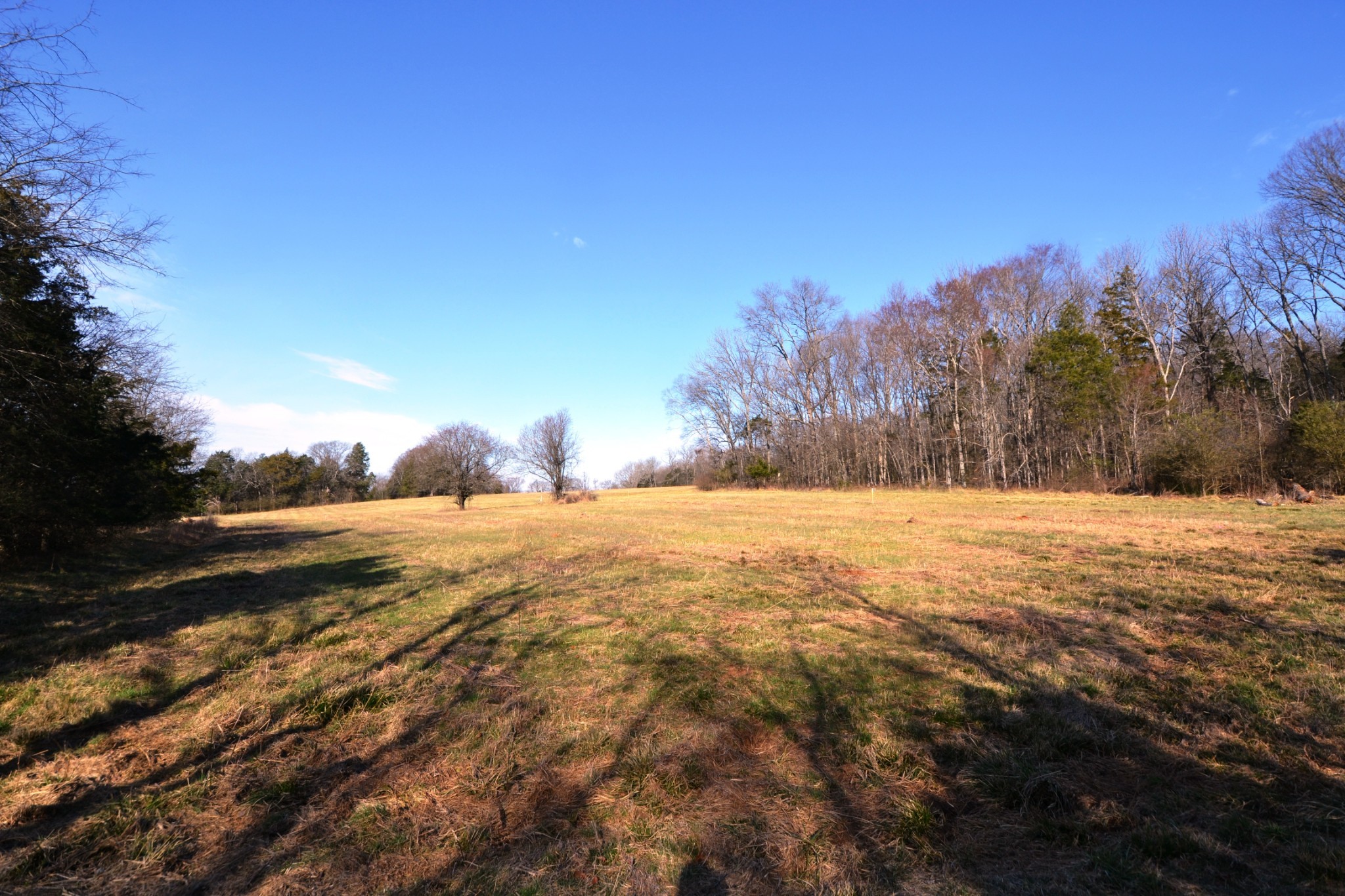 1 Corinth Road Property Photo 63