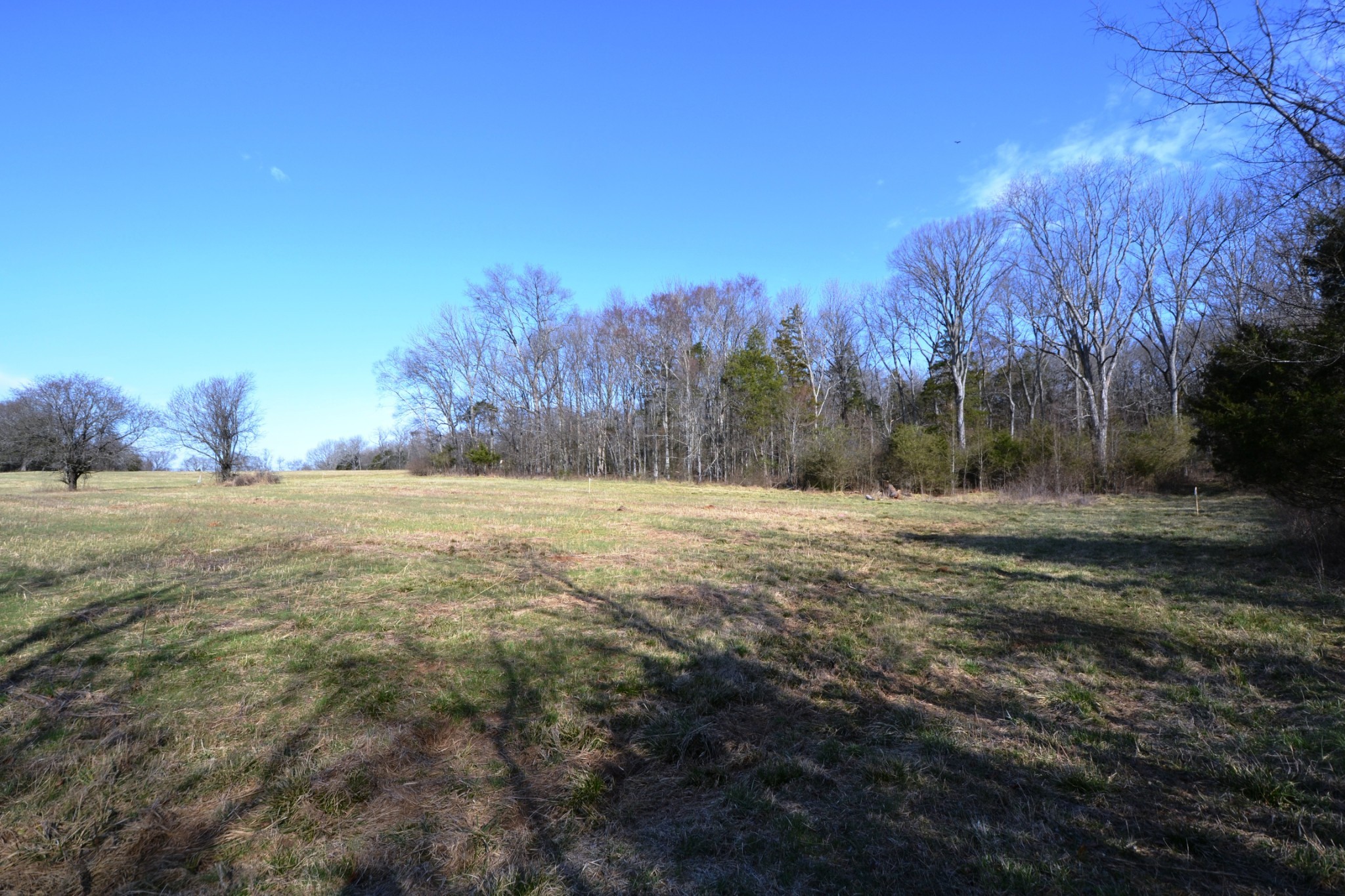 1 Corinth Road Property Photo 66