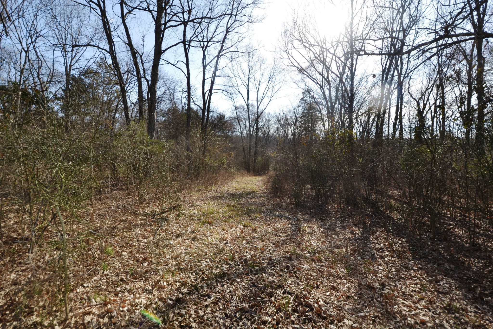 1 Corinth Road Property Photo 70