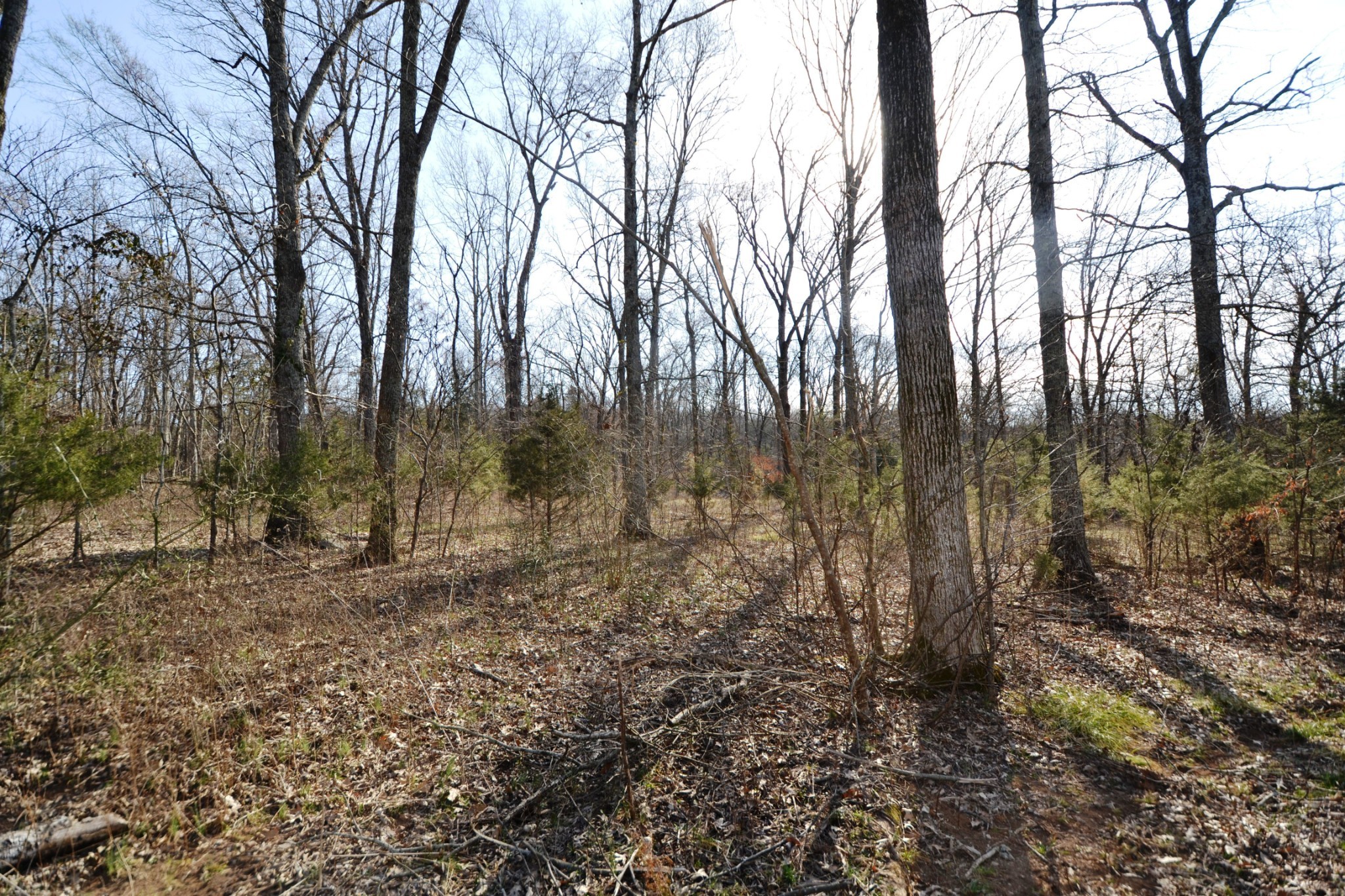 1 Corinth Road Property Photo 72