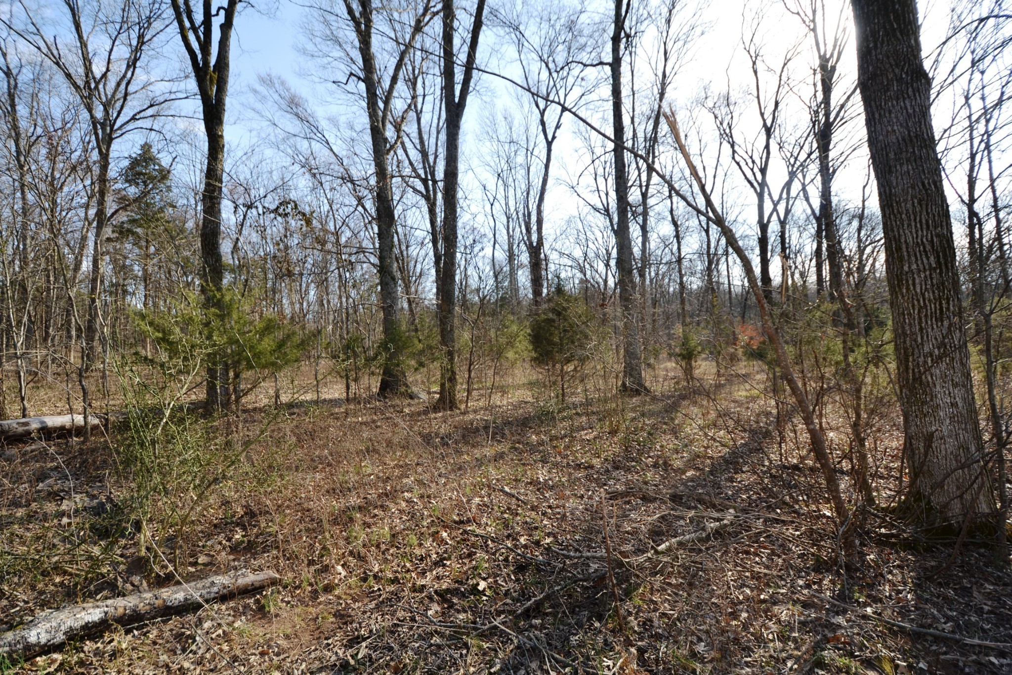 1 Corinth Road Property Photo 73