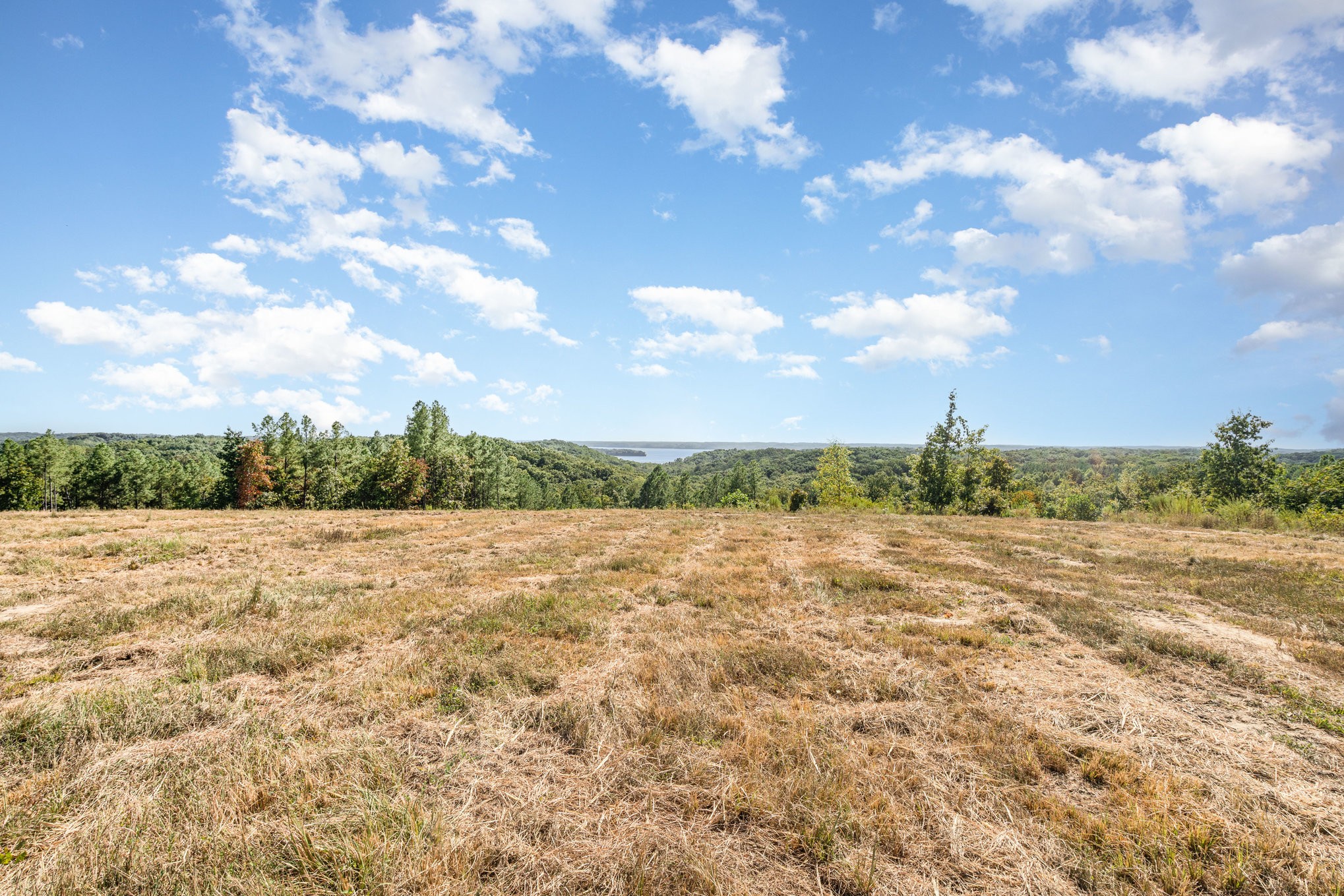 240 Miller Ridge Lane Property Photo 3