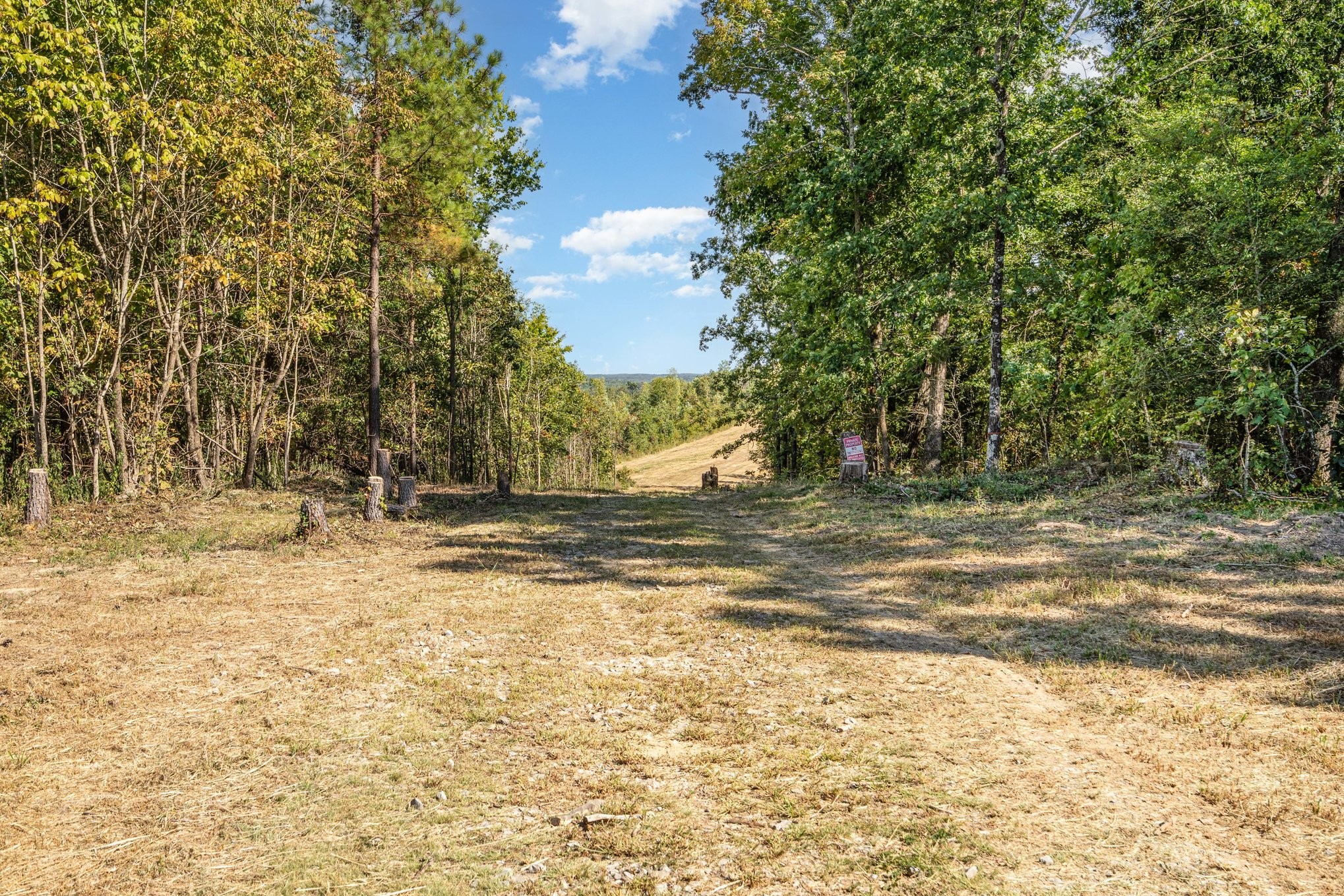 240 Miller Ridge Lane Property Photo 5