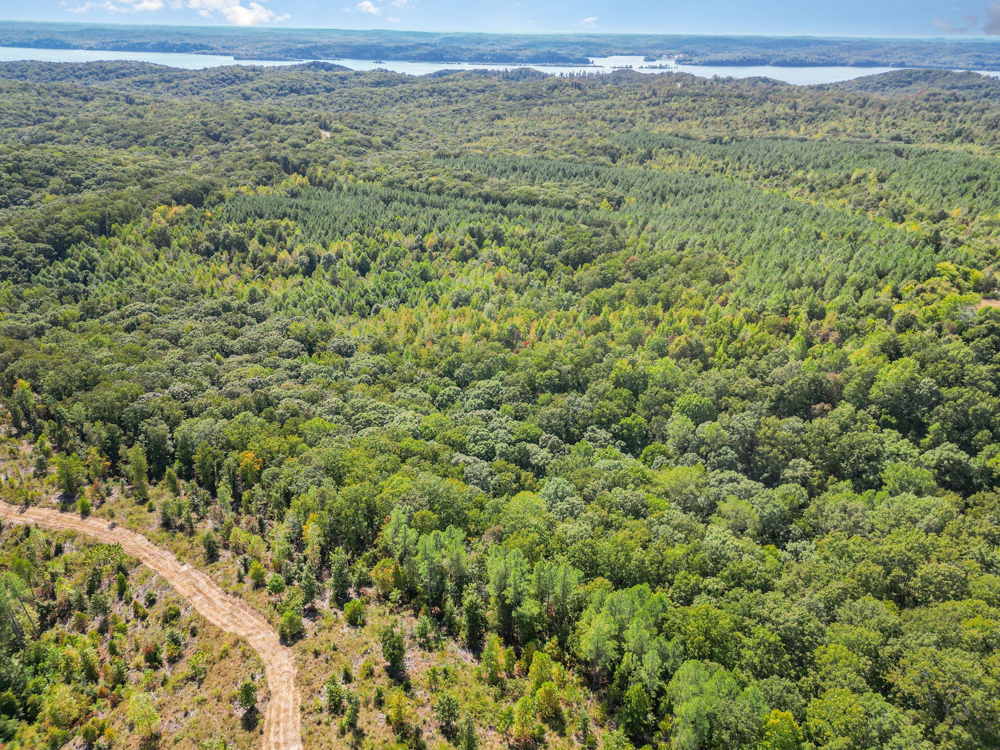 240 Miller Ridge Lane Property Photo 13