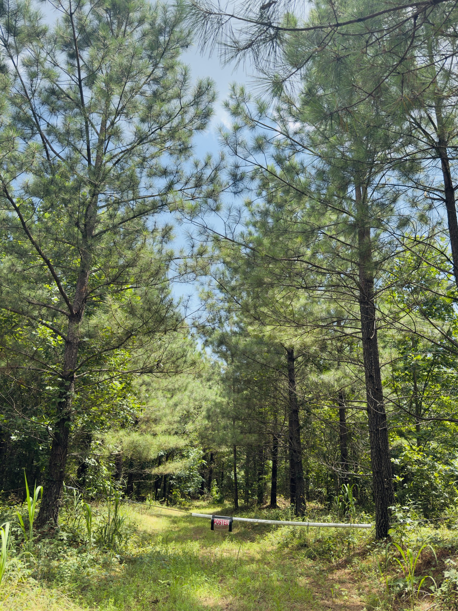 240 Miller Ridge Lane Property Photo 19