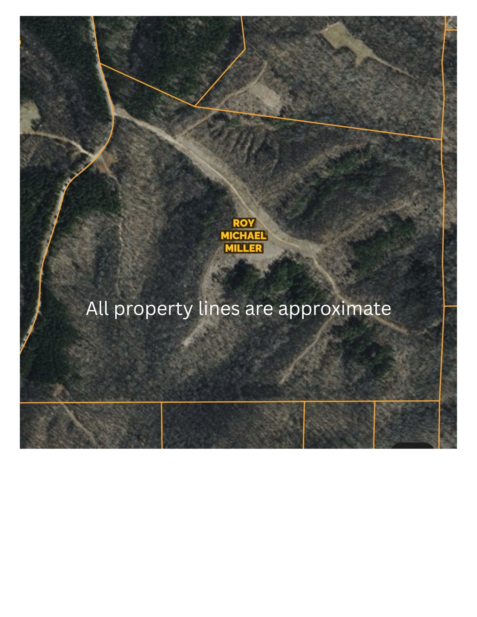 240 Miller Ridge Lane Property Photo 28