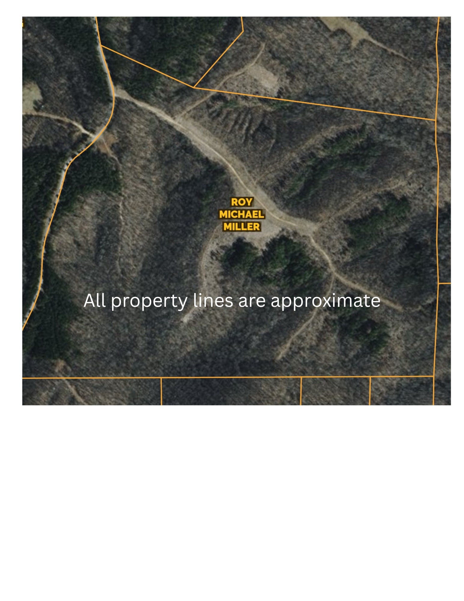 240 Miller Ridge Lane Property Photo 29