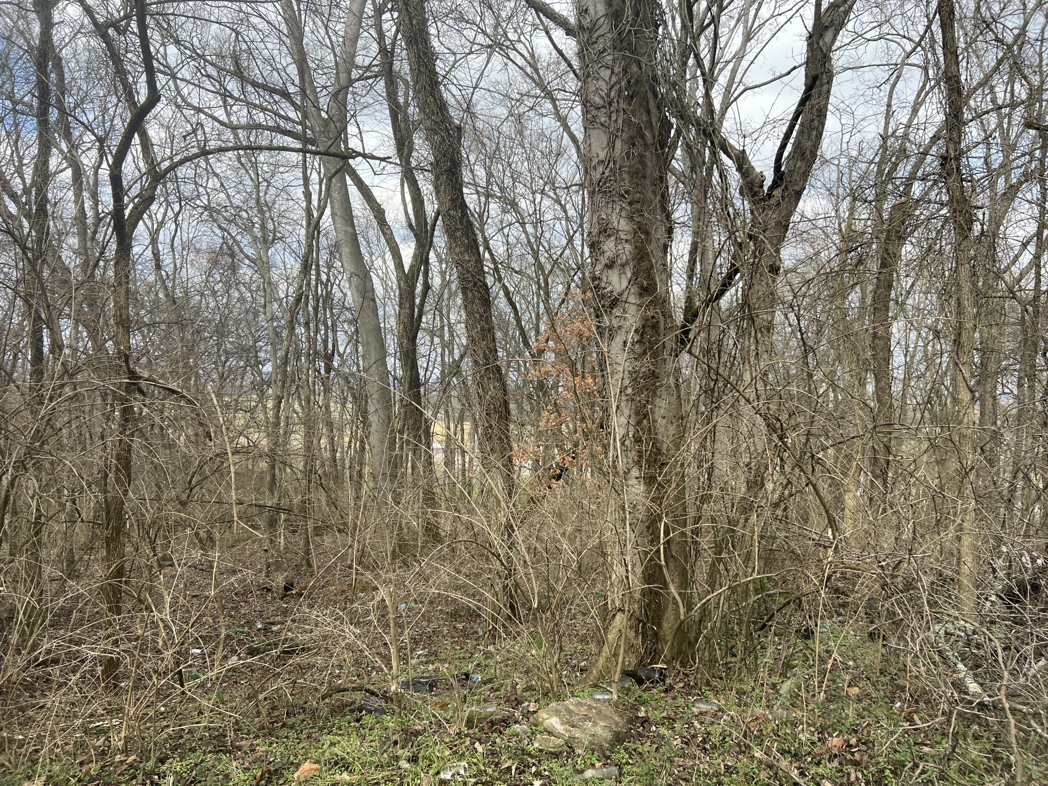 917 1st Ave Property Photo 4