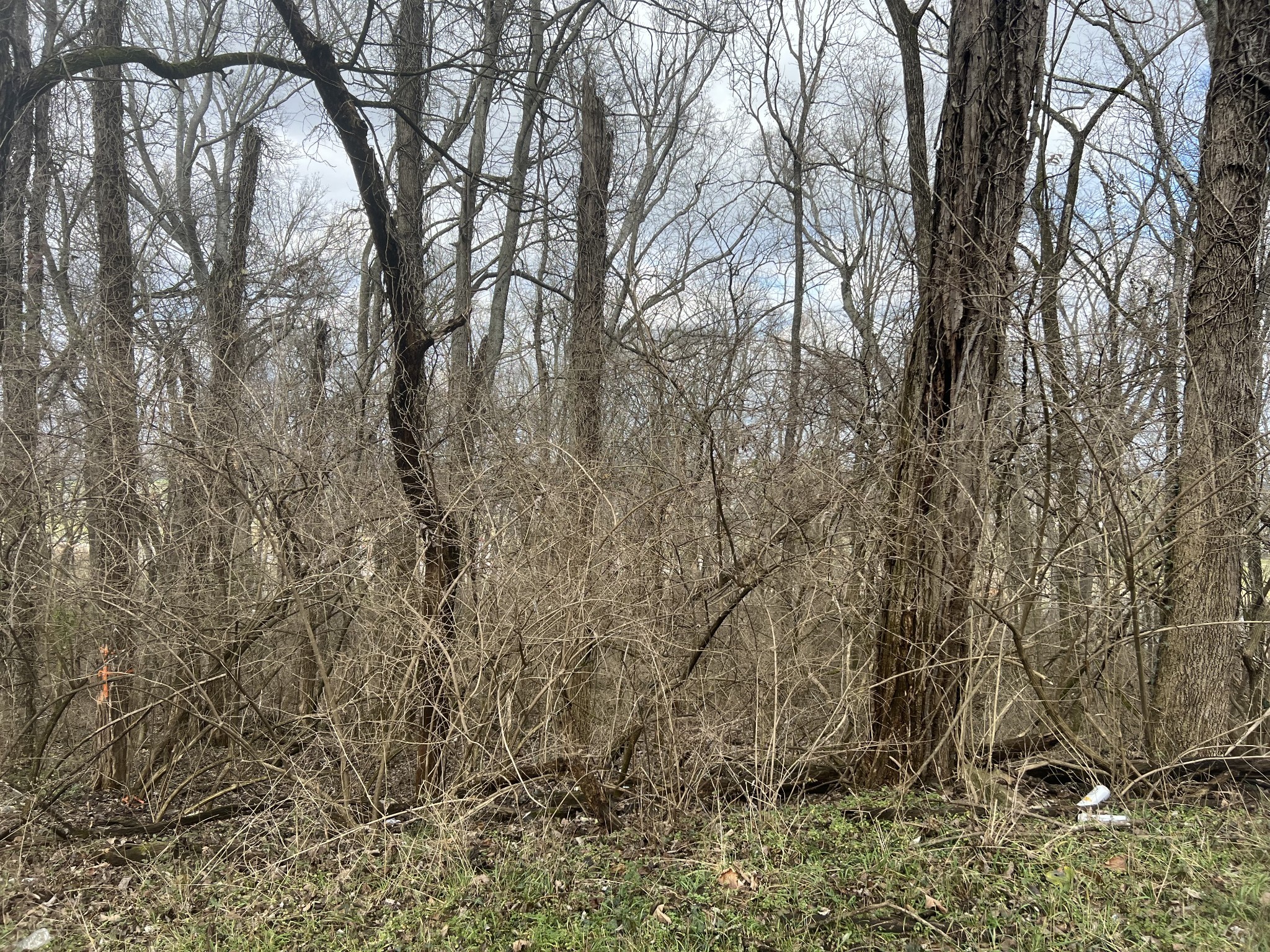 917 1st Ave Property Photo 5