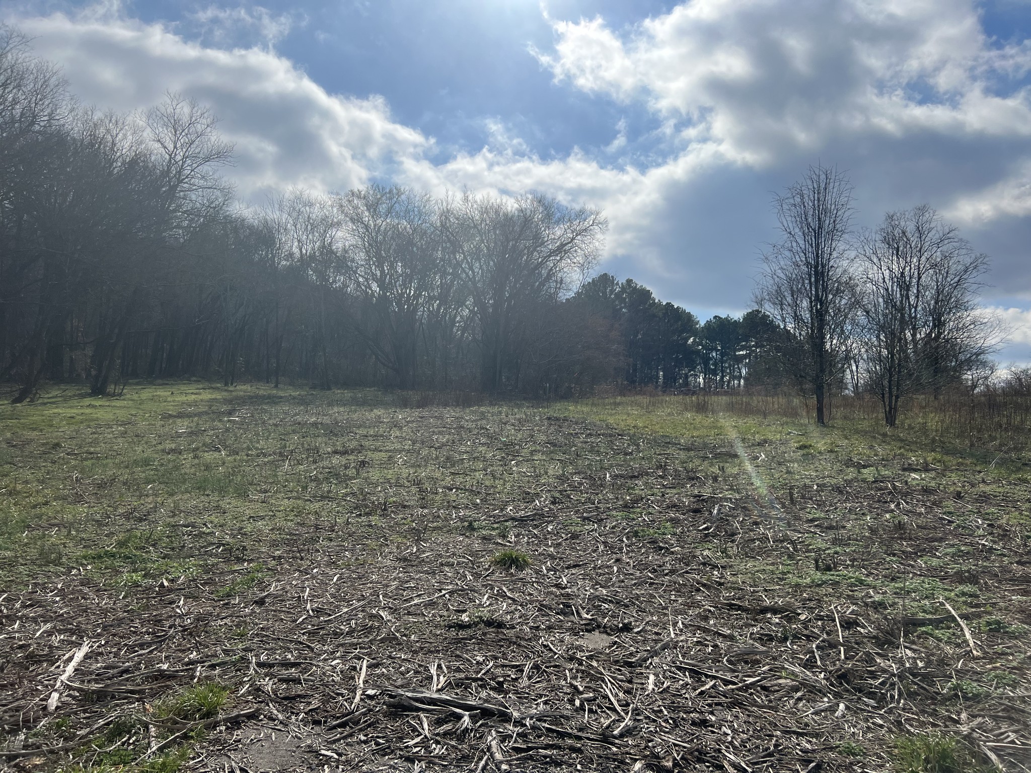 917 1st Ave Property Photo 6