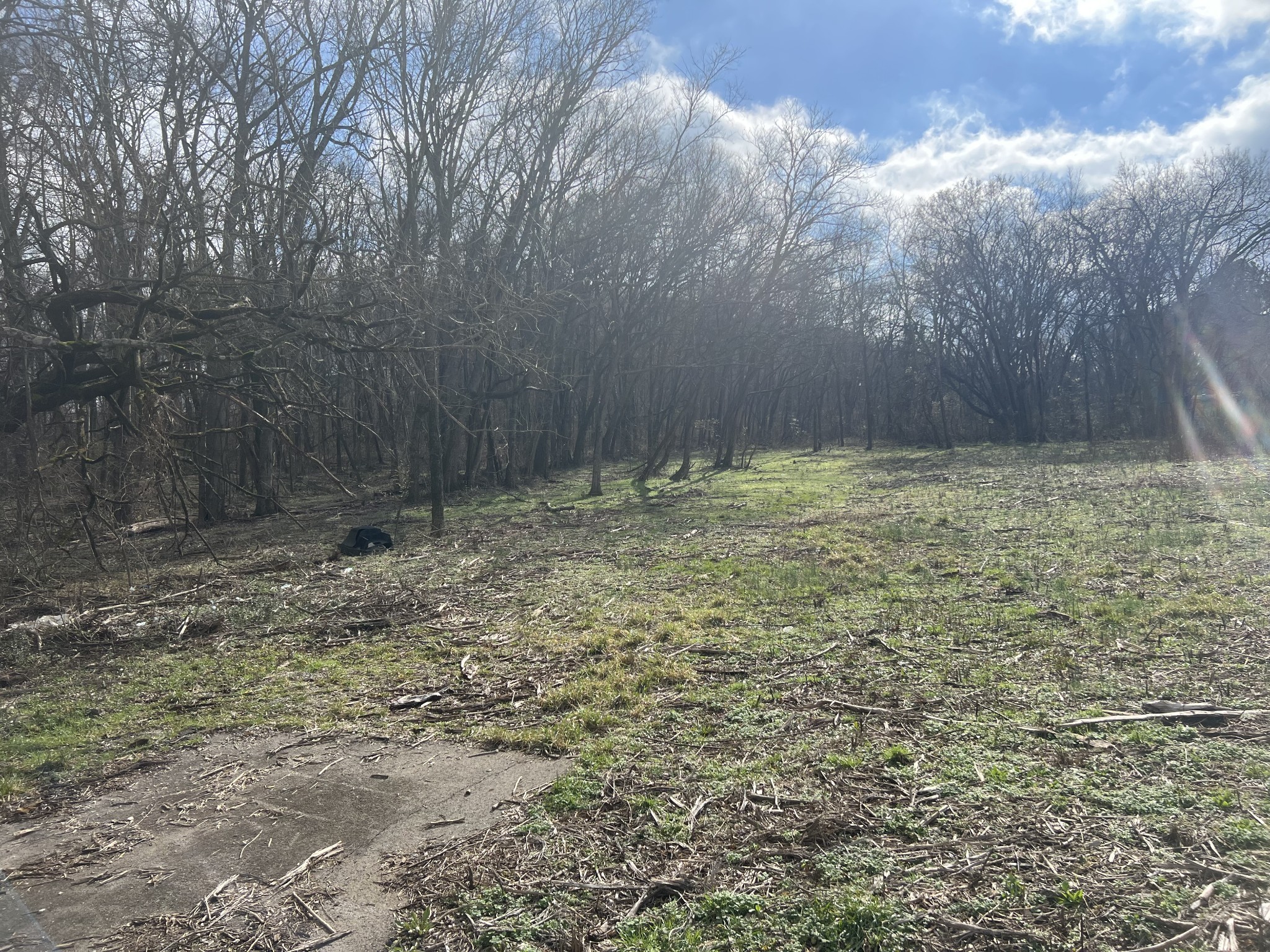 917 1st Ave Property Photo 7