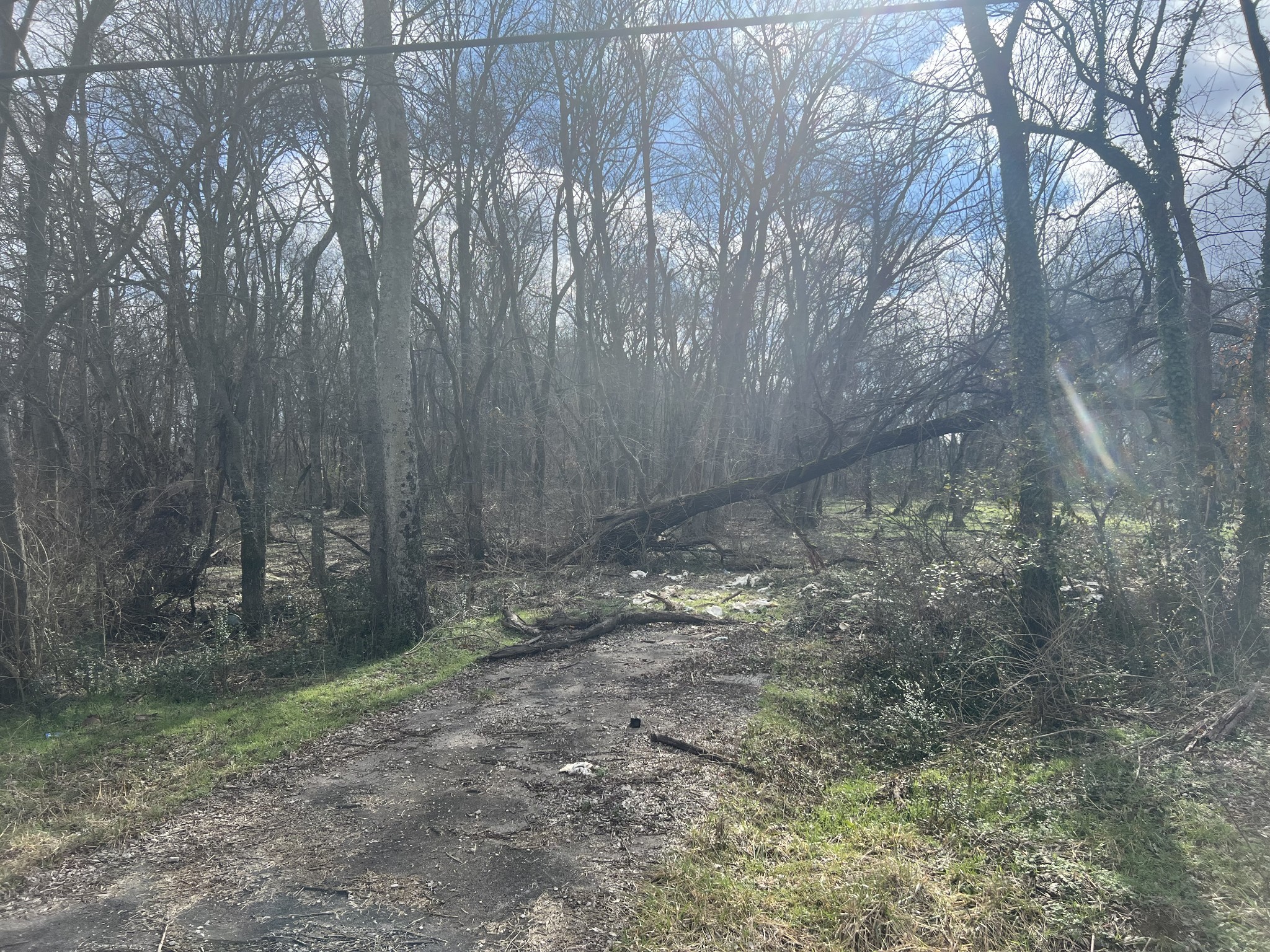 917 1st Ave Property Photo 8