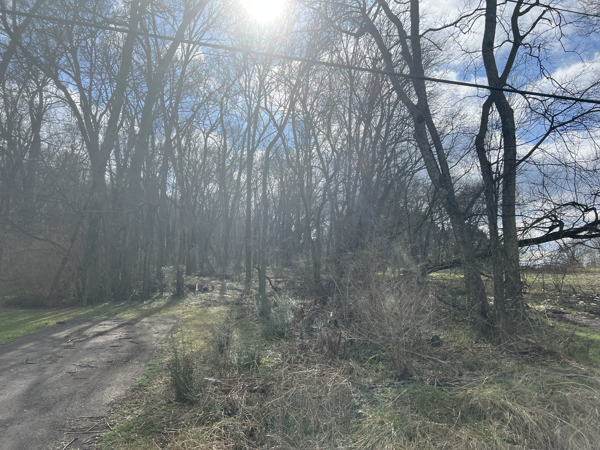 917 1st Ave Property Photo 9