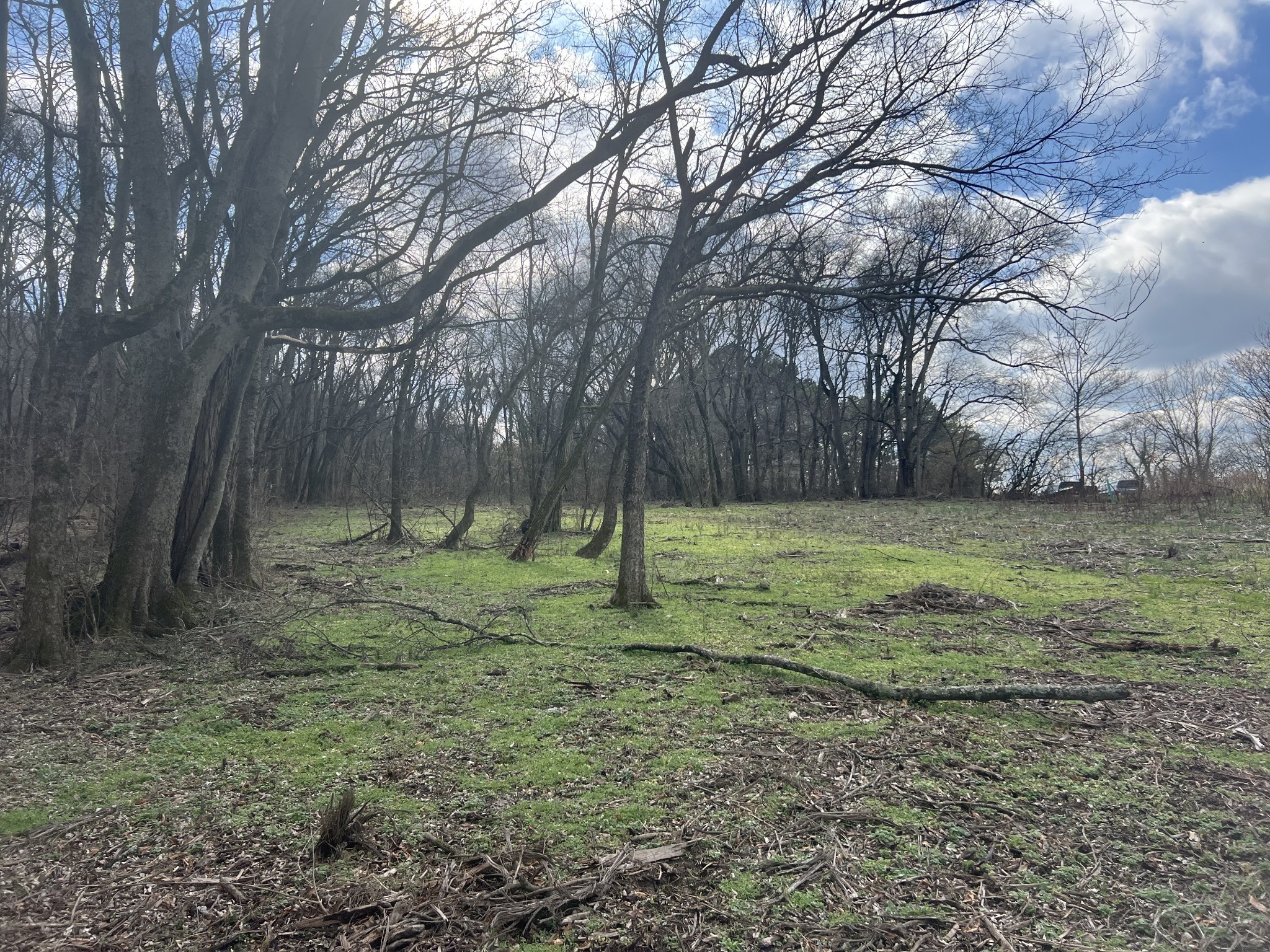 917 1st Ave Property Photo 10