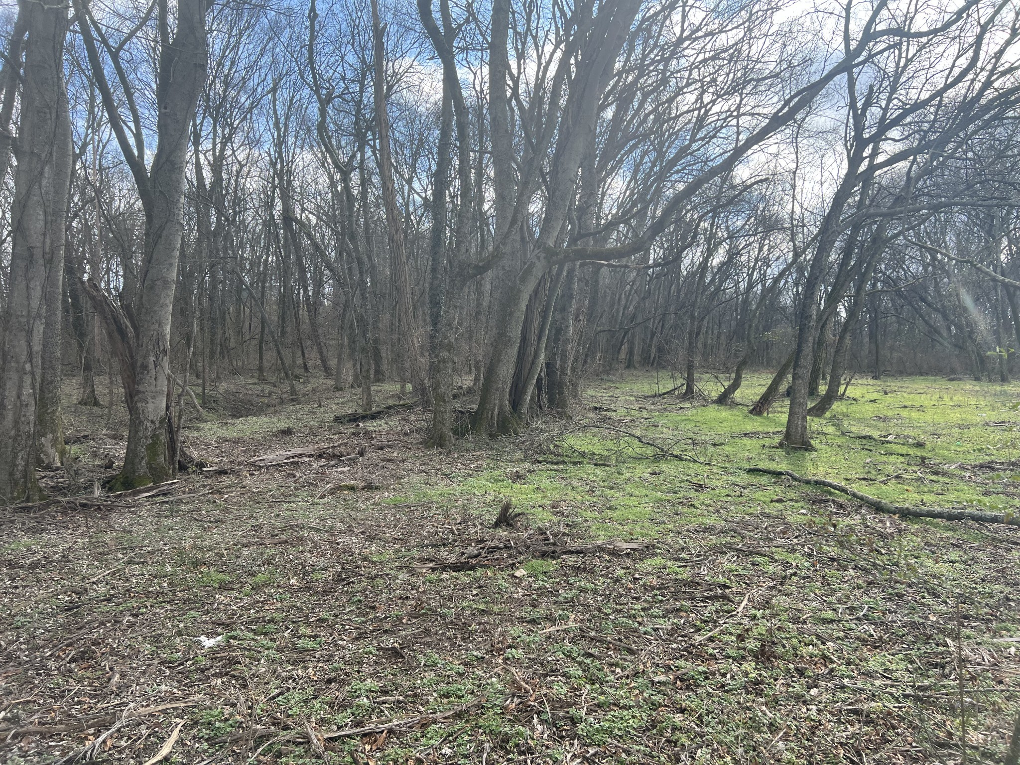 917 1st Ave Property Photo 11