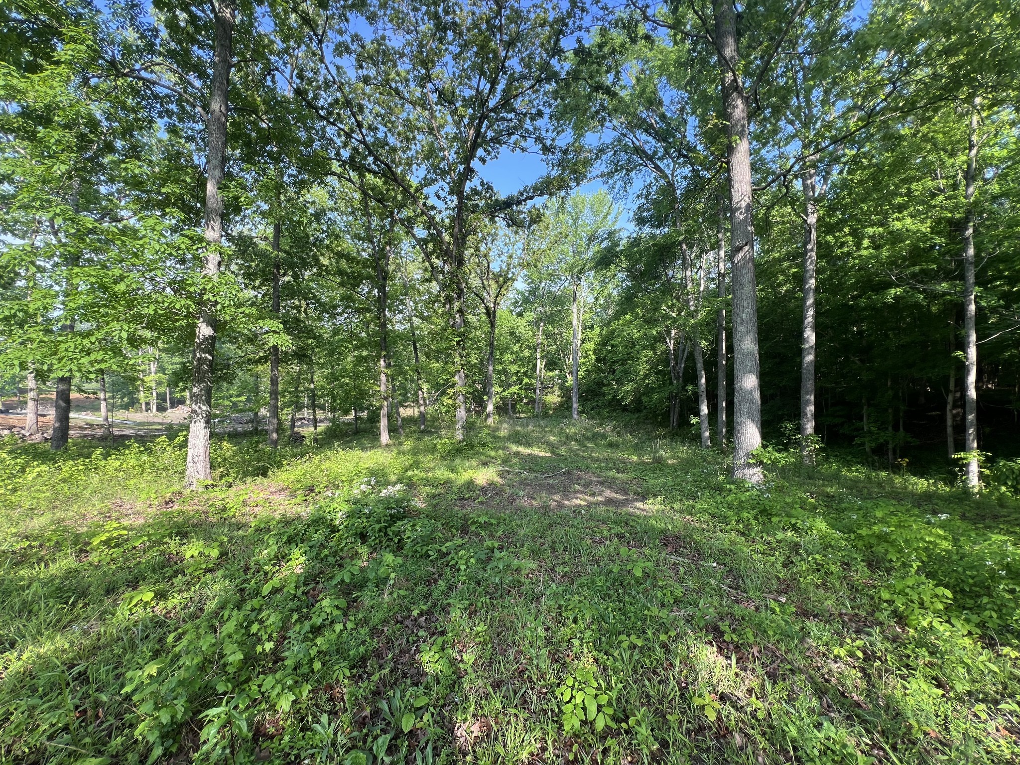 0 Highway 68 E Property Photo 2