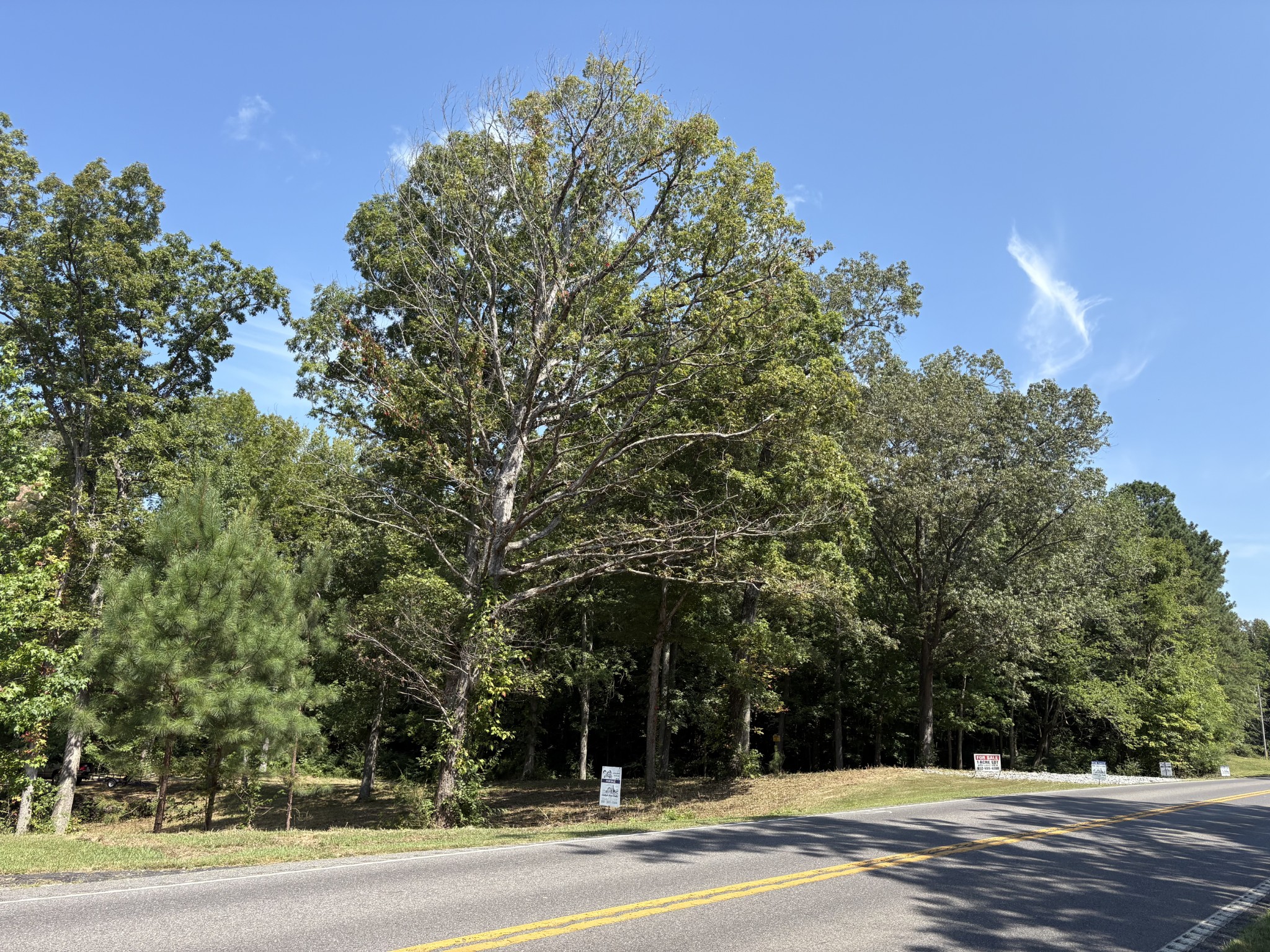 0 Highway 68 E Property Photo 5