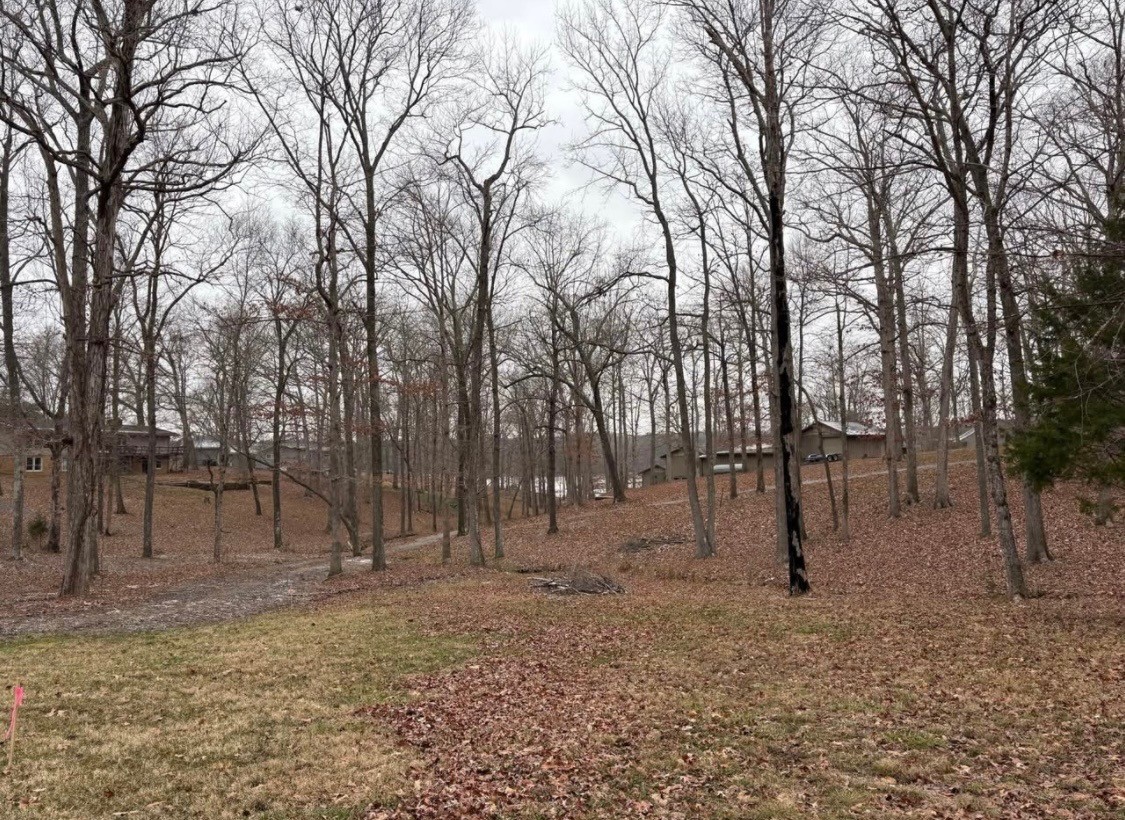 0 Highway 68 E Property Photo 8