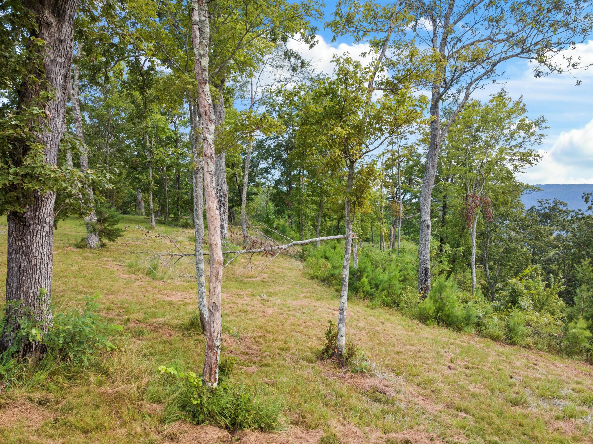 0 Bobcat Trail Property Photo 22