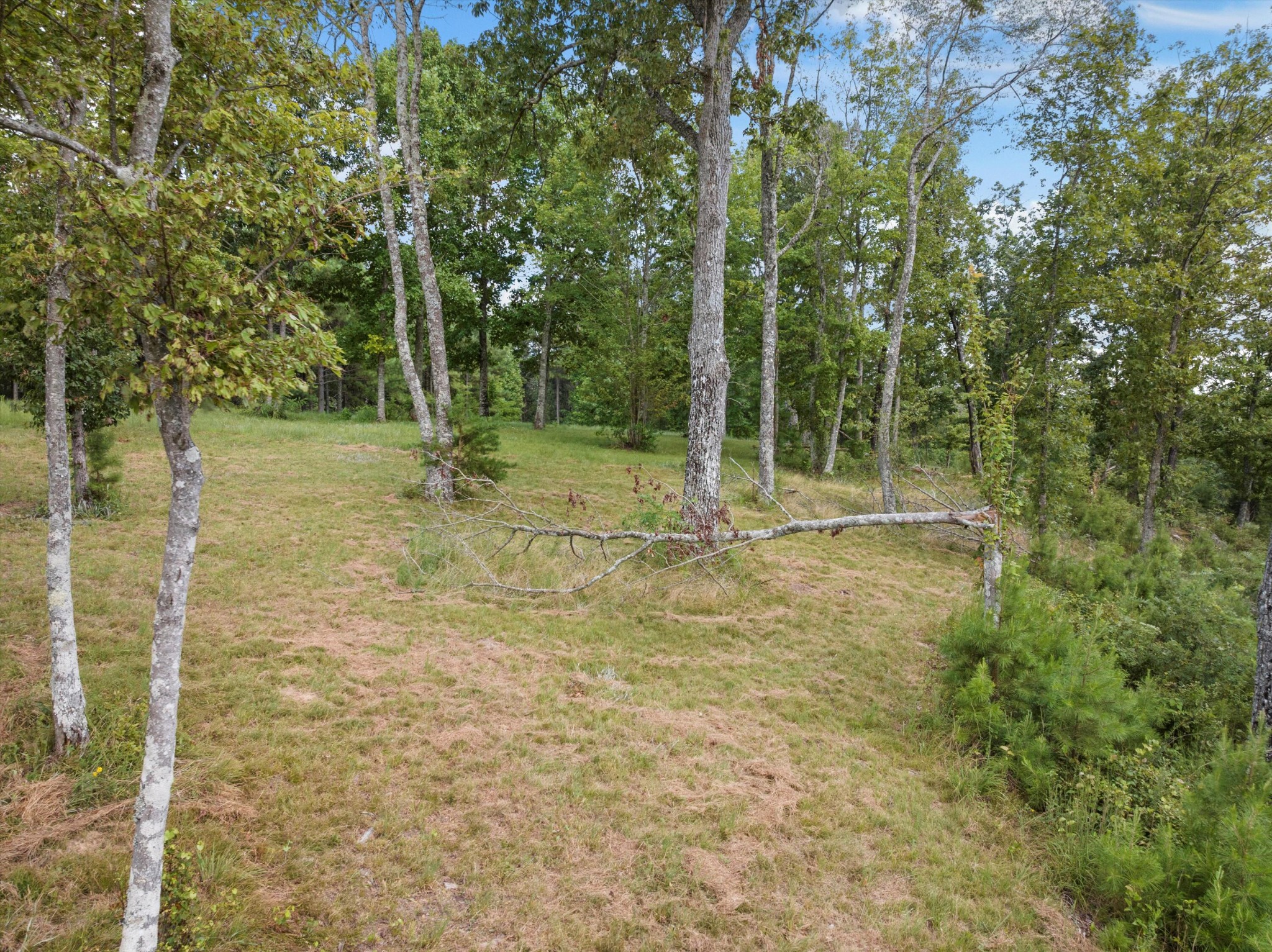 0 Bobcat Trail Property Photo 23