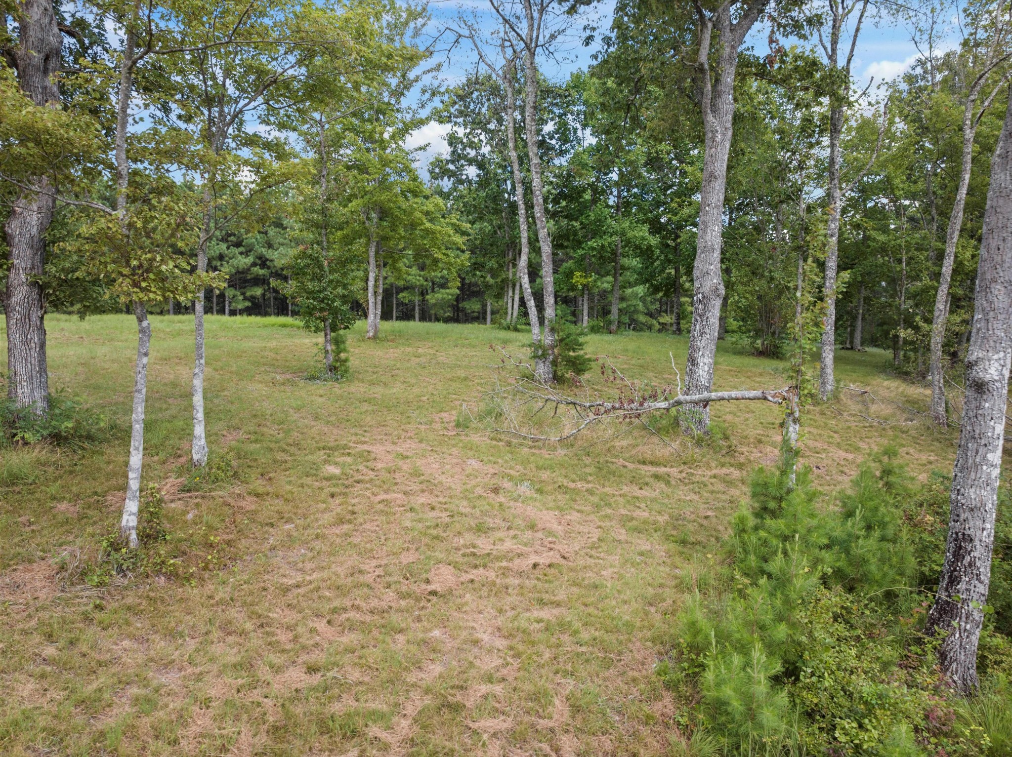 0 Bobcat Trail Property Photo 24