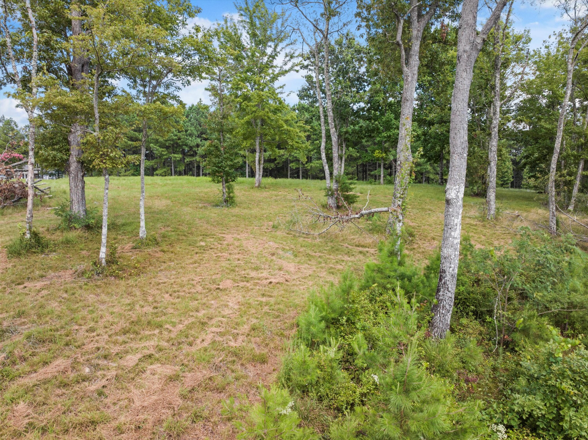 0 Bobcat Trail Property Photo 25