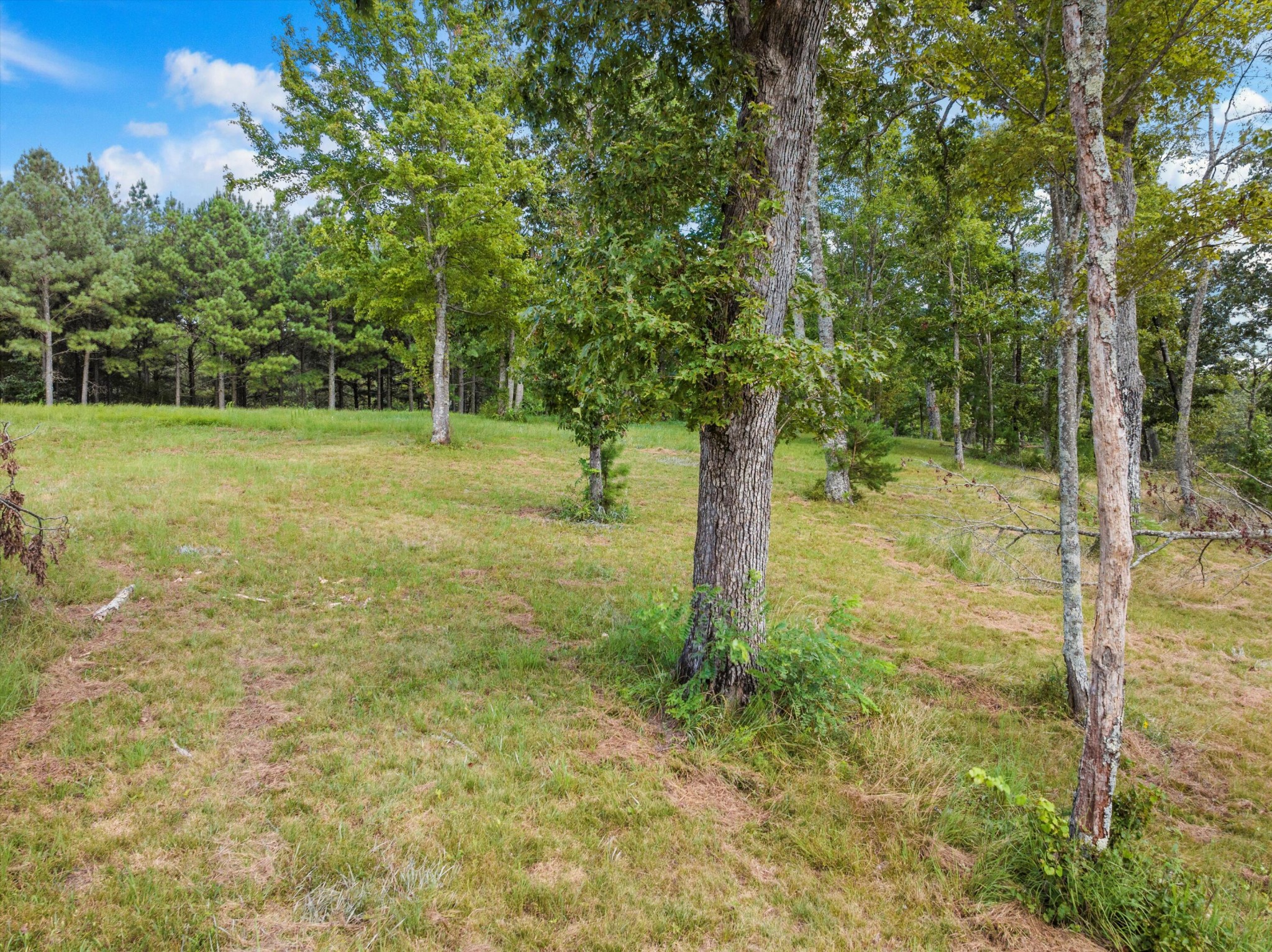 0 Bobcat Trail Property Photo 26