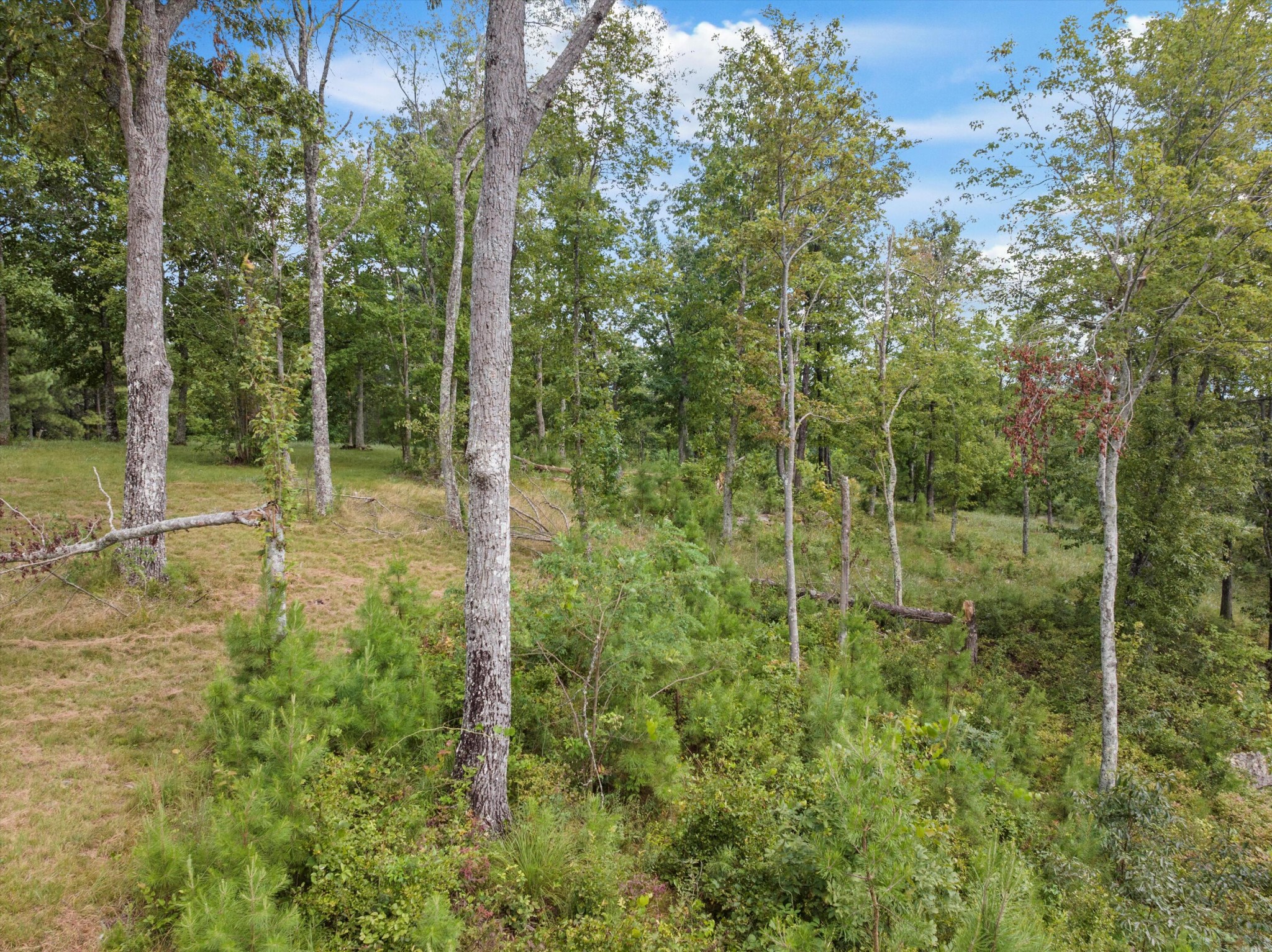 0 Bobcat Trail Property Photo 27