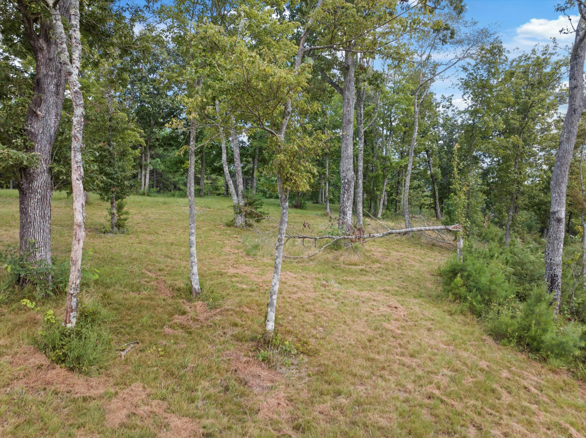 0 Bobcat Trail Property Photo 29