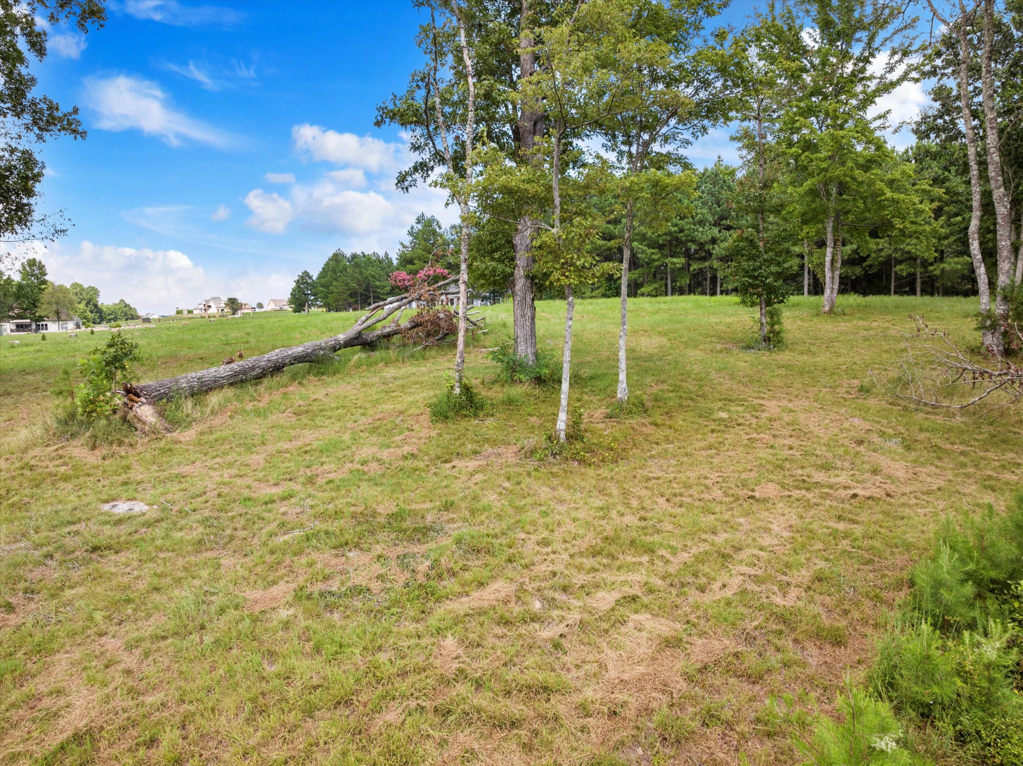 0 Bobcat Trail Property Photo 30