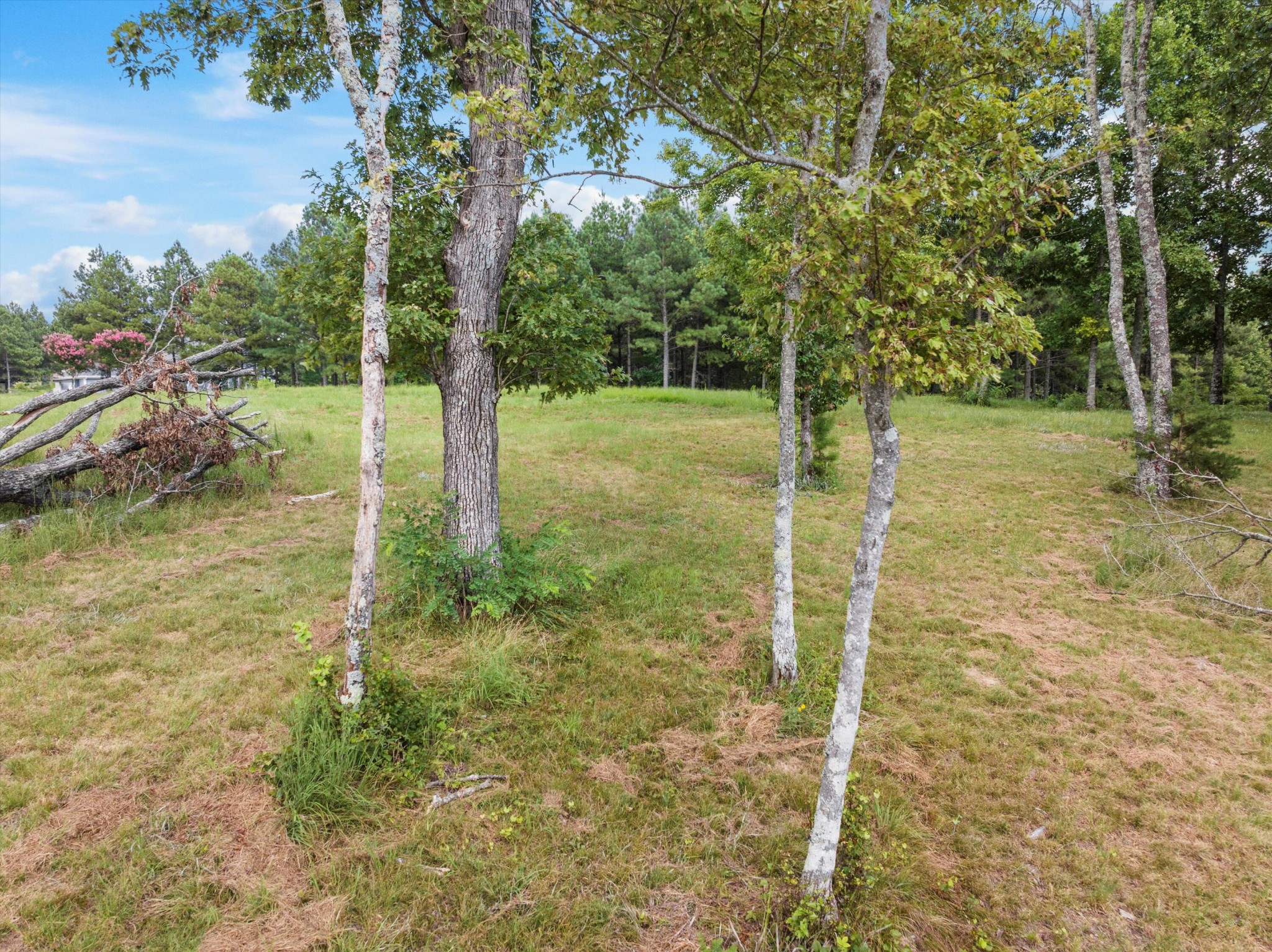 0 Bobcat Trail Property Photo 31