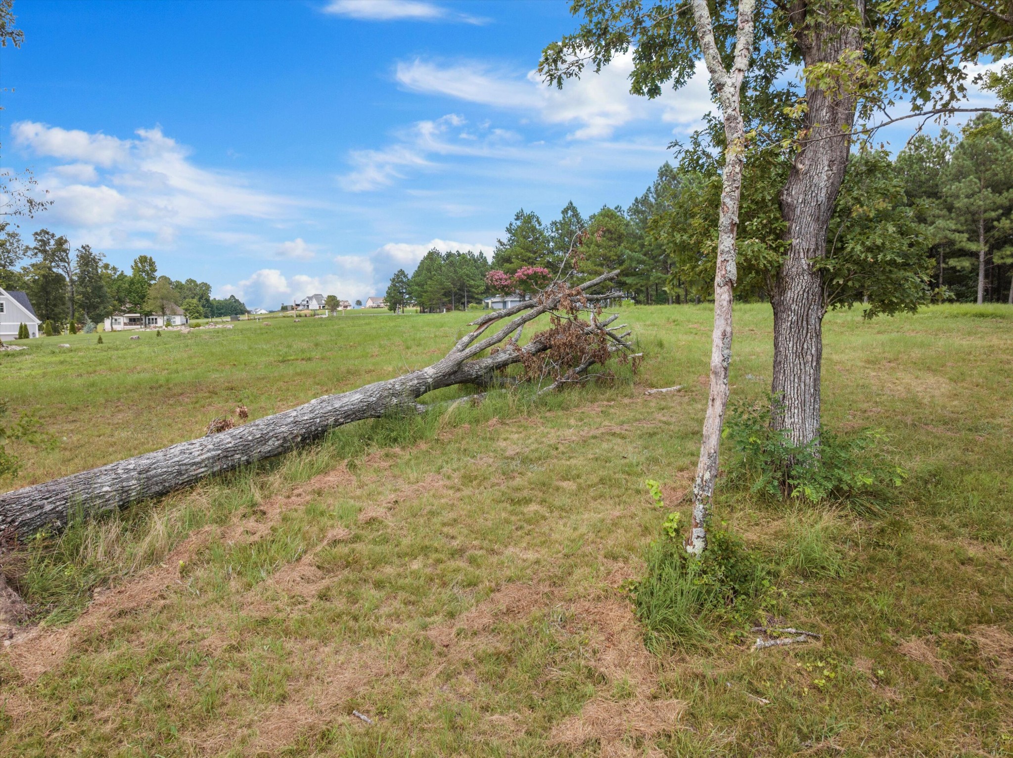 0 Bobcat Trail Property Photo 33