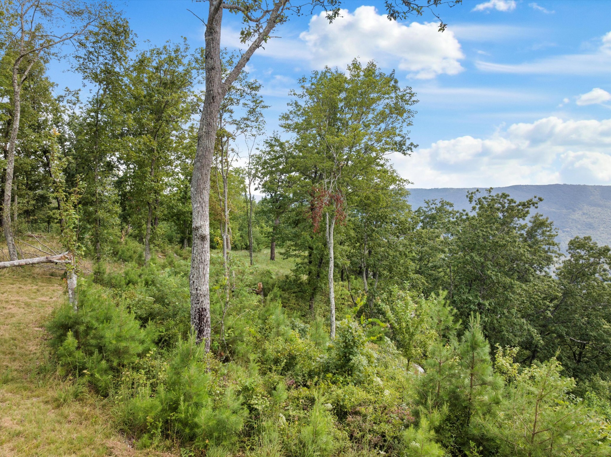 0 Bobcat Trail Property Photo 34