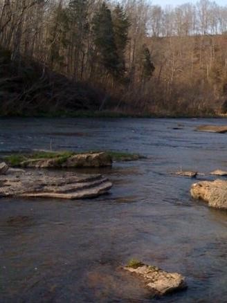 0 Cove Ln Property Photo 2