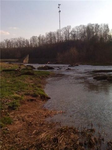 0 Cove Ln Property Photo 3