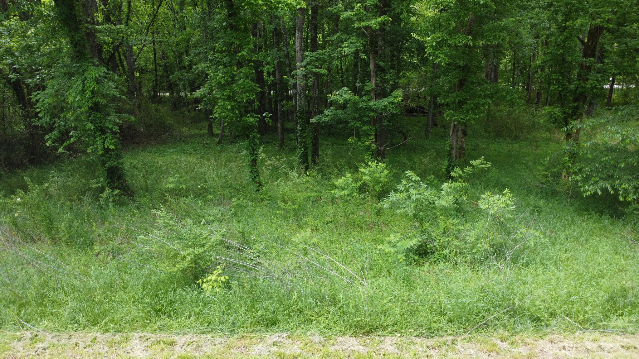 450 High St Property Photo 1