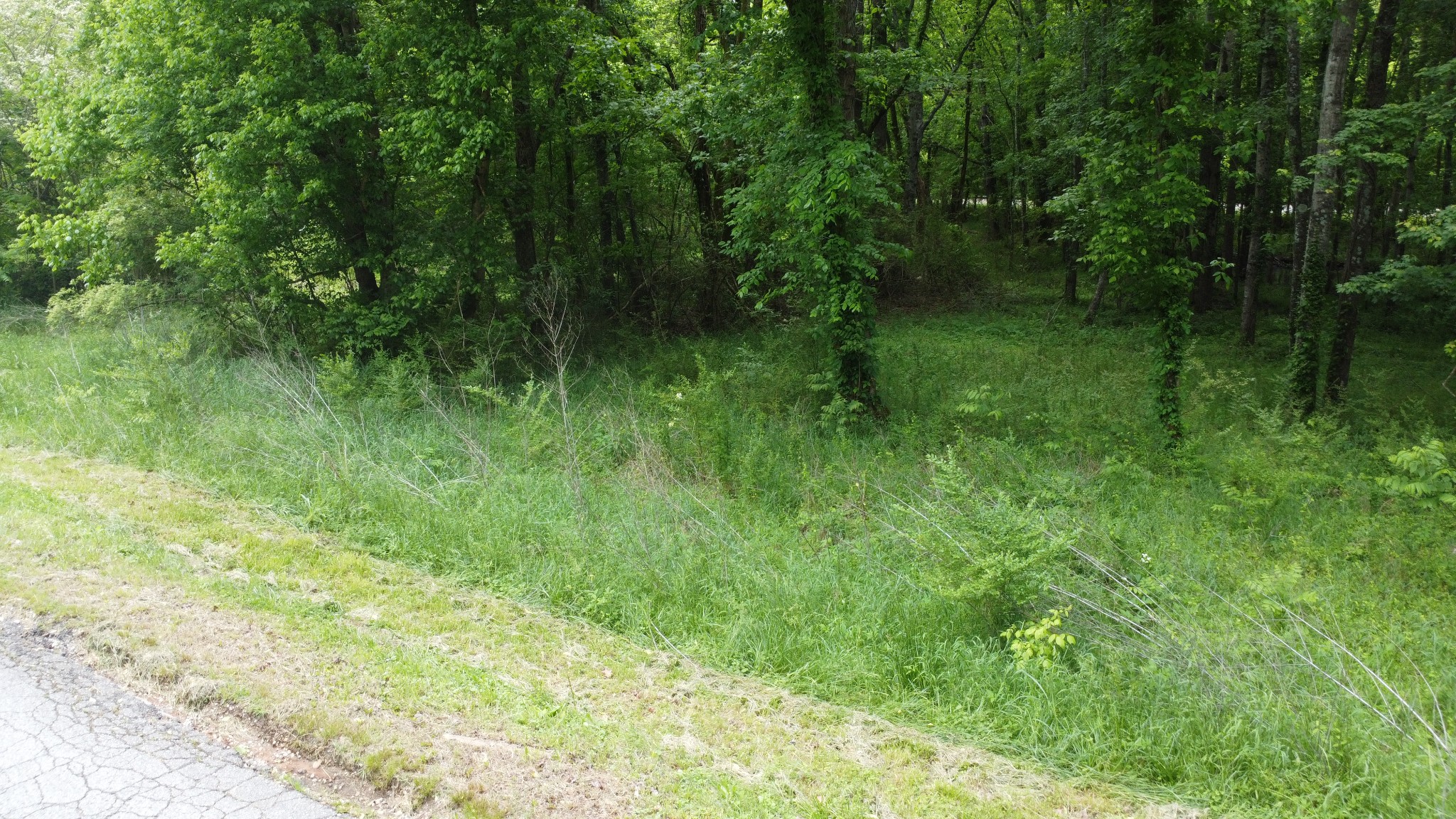 450 High St Property Photo 6