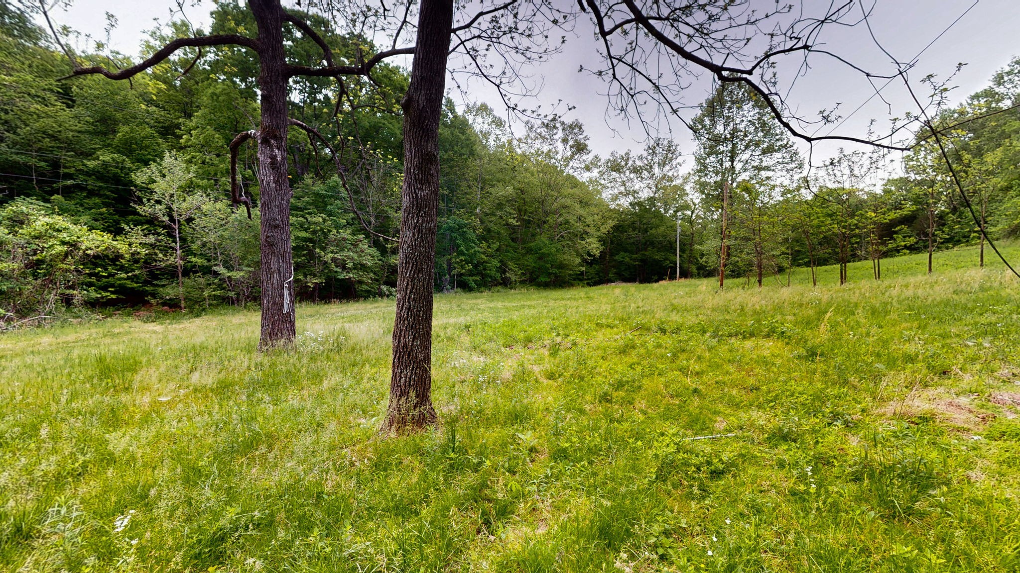 2100 Highway 13 Property Photo 4