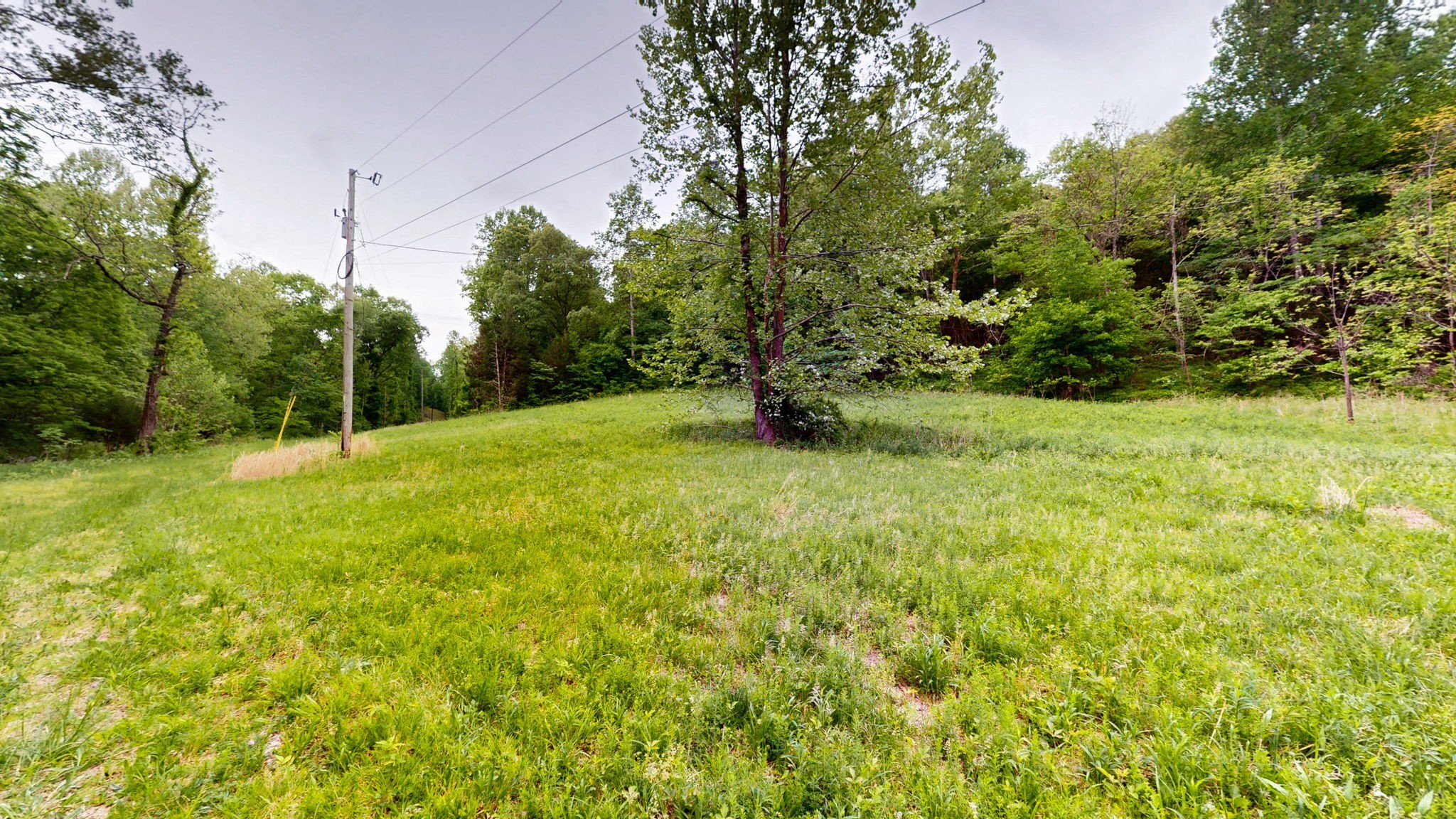 2100 Highway 13 Property Photo 5