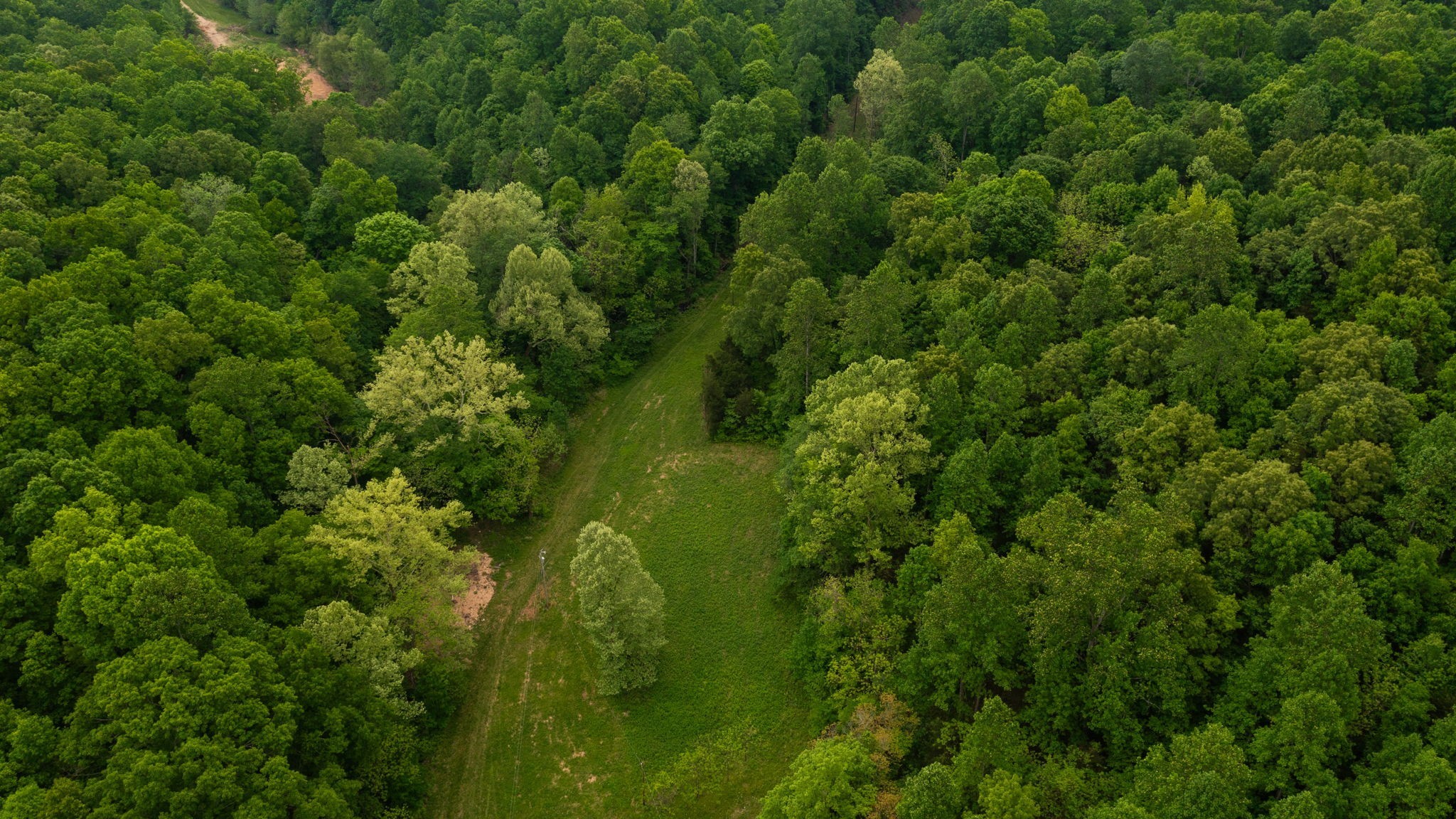 2100 Highway 13 Property Photo 9