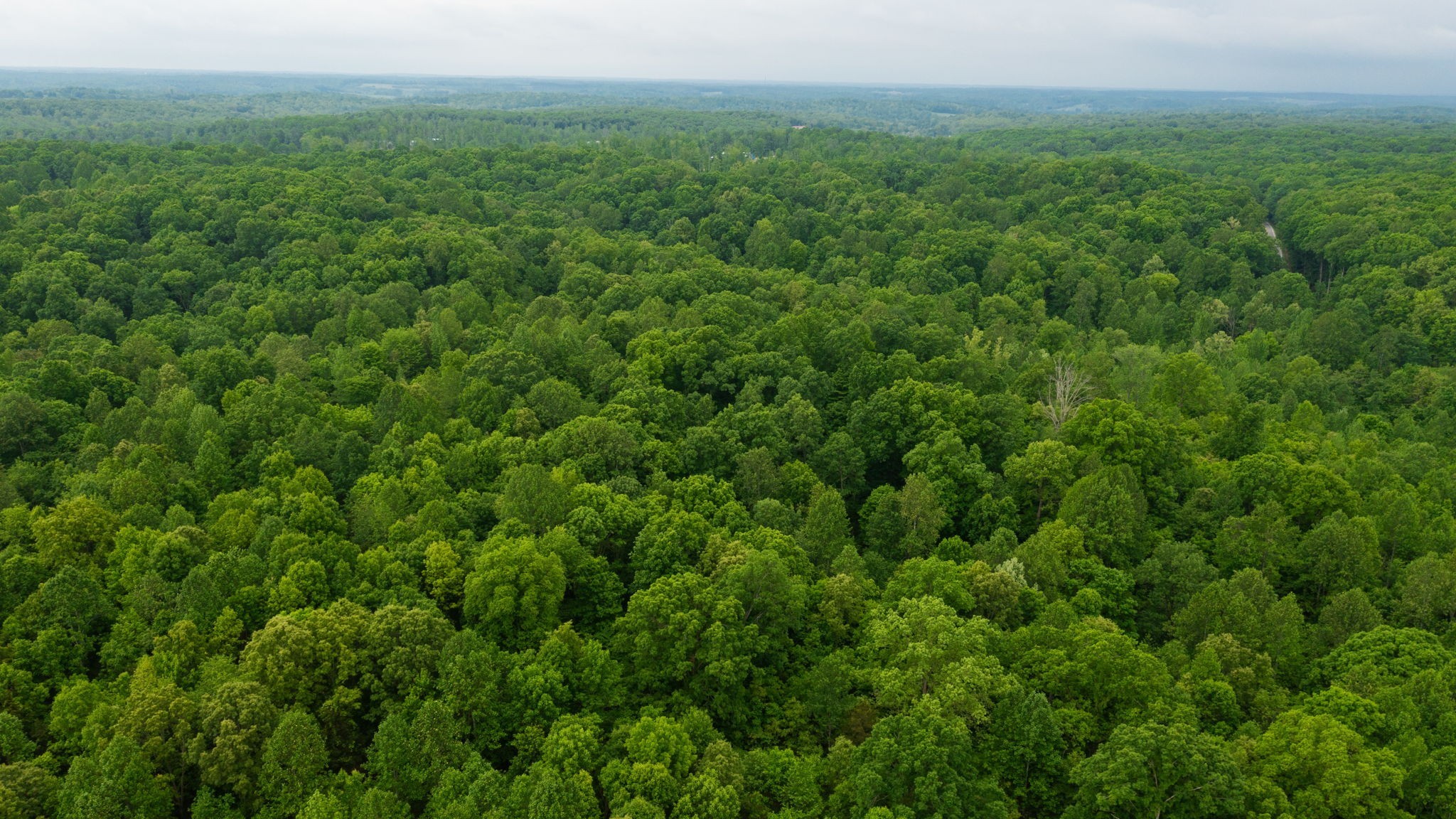 2100 Highway 13 Property Photo 10