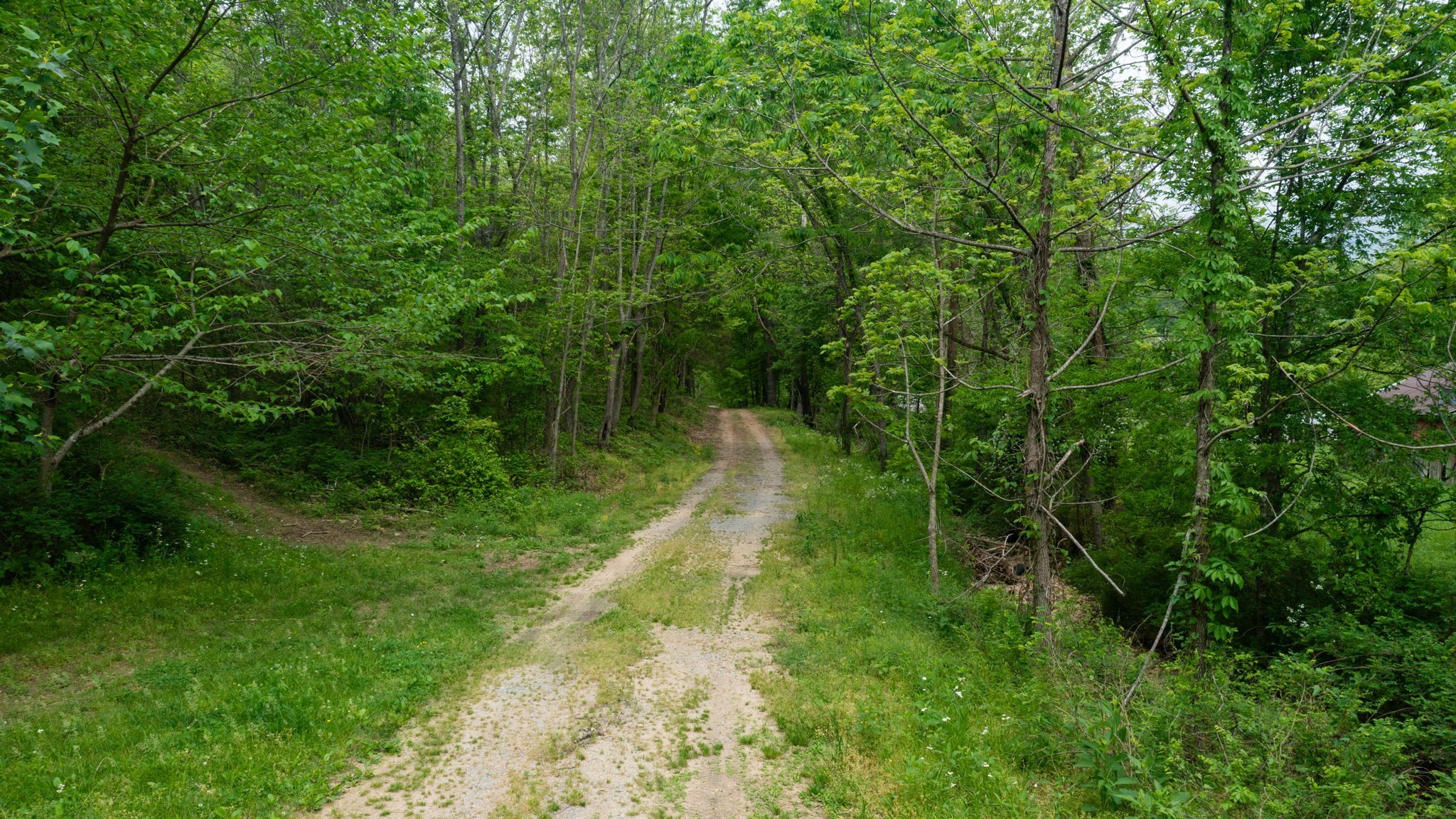 2100 Highway 13 Property Photo 14