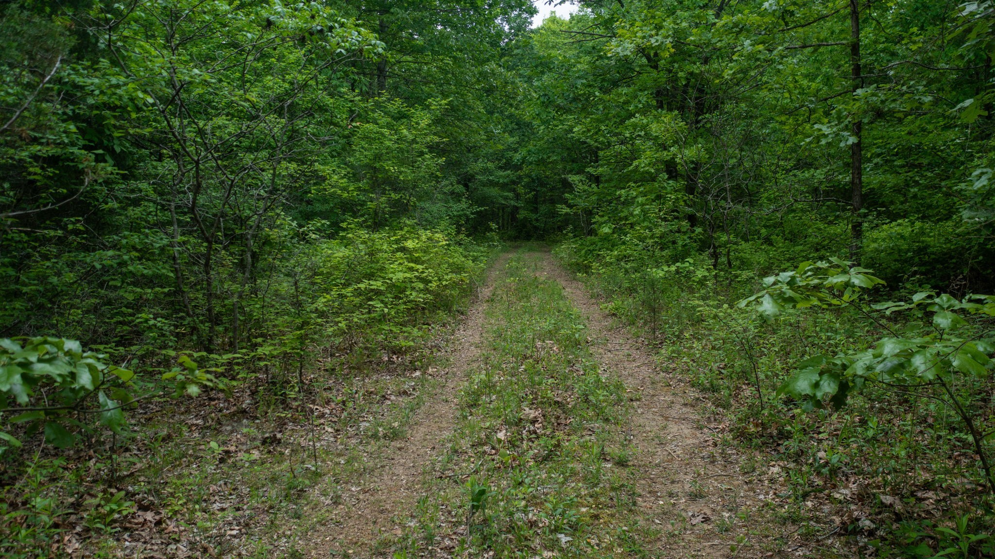 2100 Highway 13 Property Photo 15